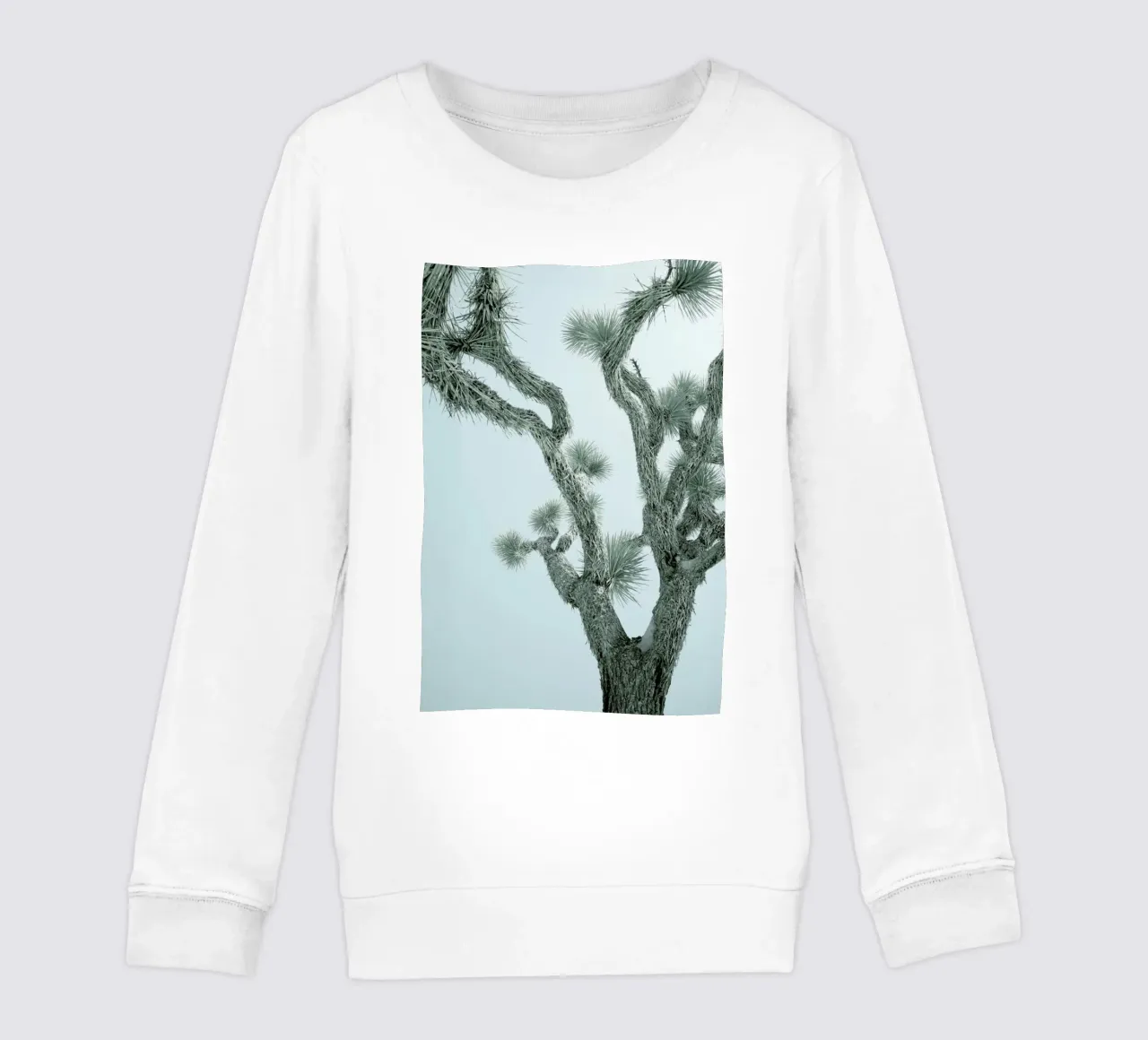 Joshua Tree kids sweatshirt by Shot By Clint