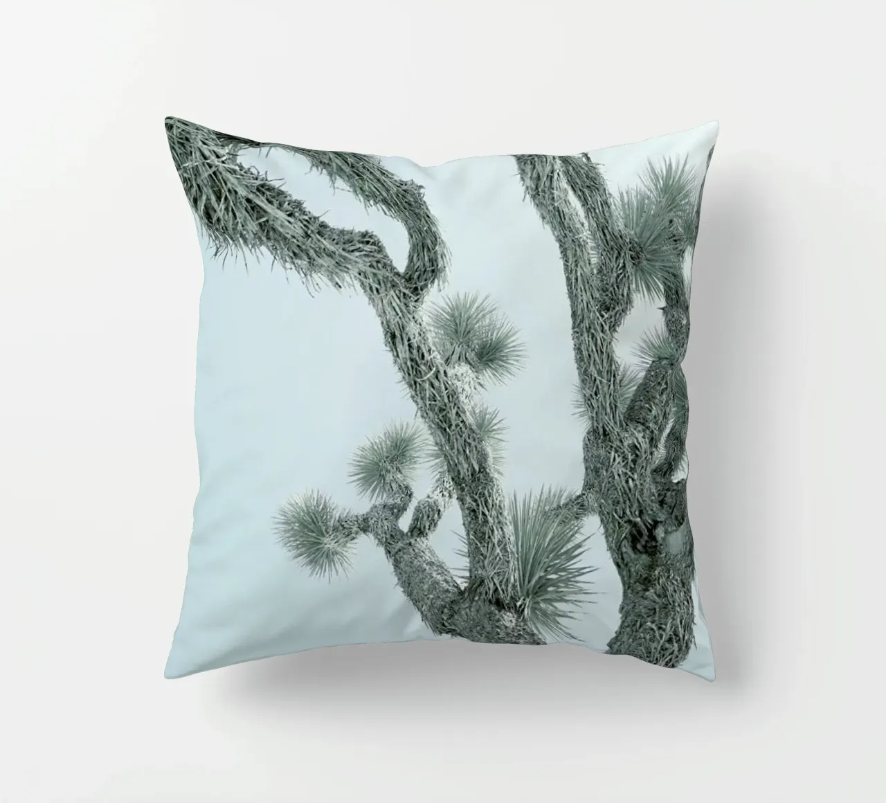 Joshua Tree Kissen von Shot By Clint
