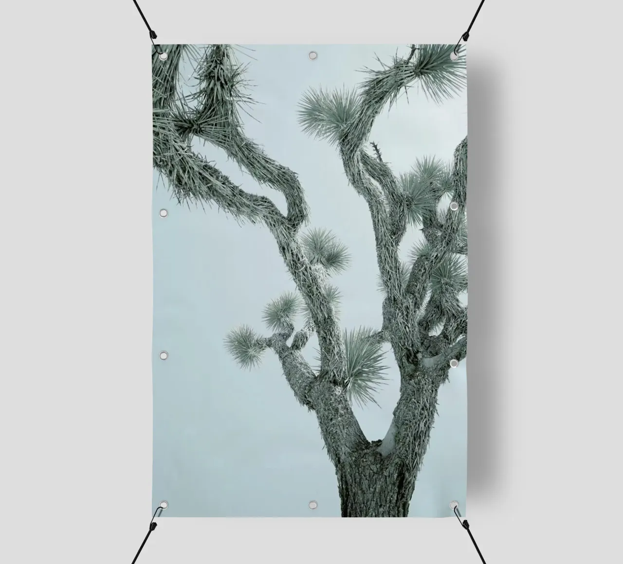 Joshua Tree telo in pvc da Shot By Clint