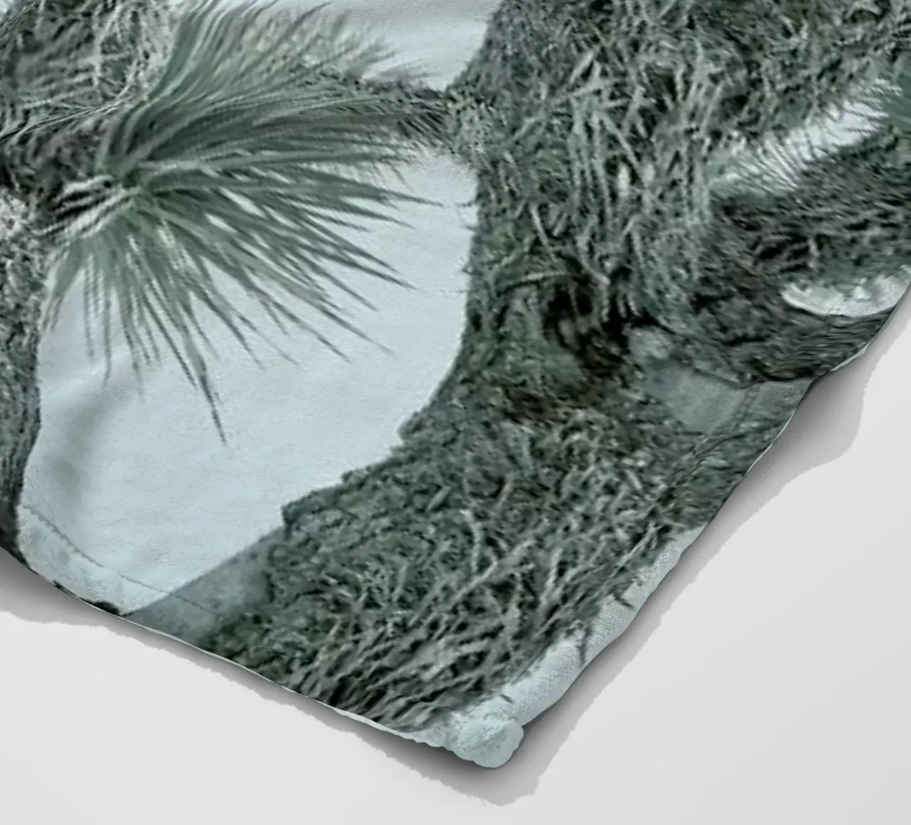 Joshua Tree coperta in pile da Shot By Clint