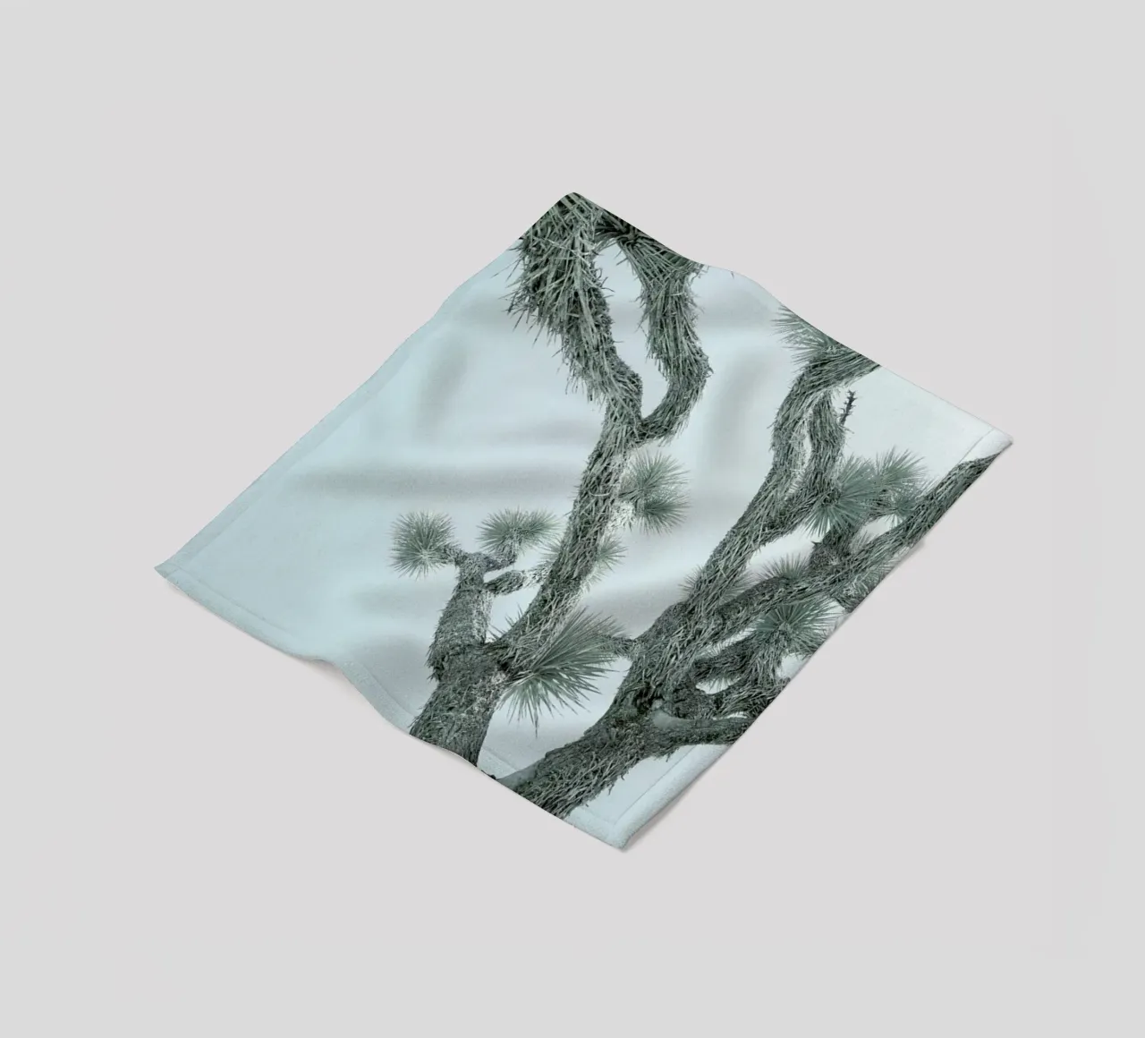 Joshua Tree coperta in pile da Shot By Clint