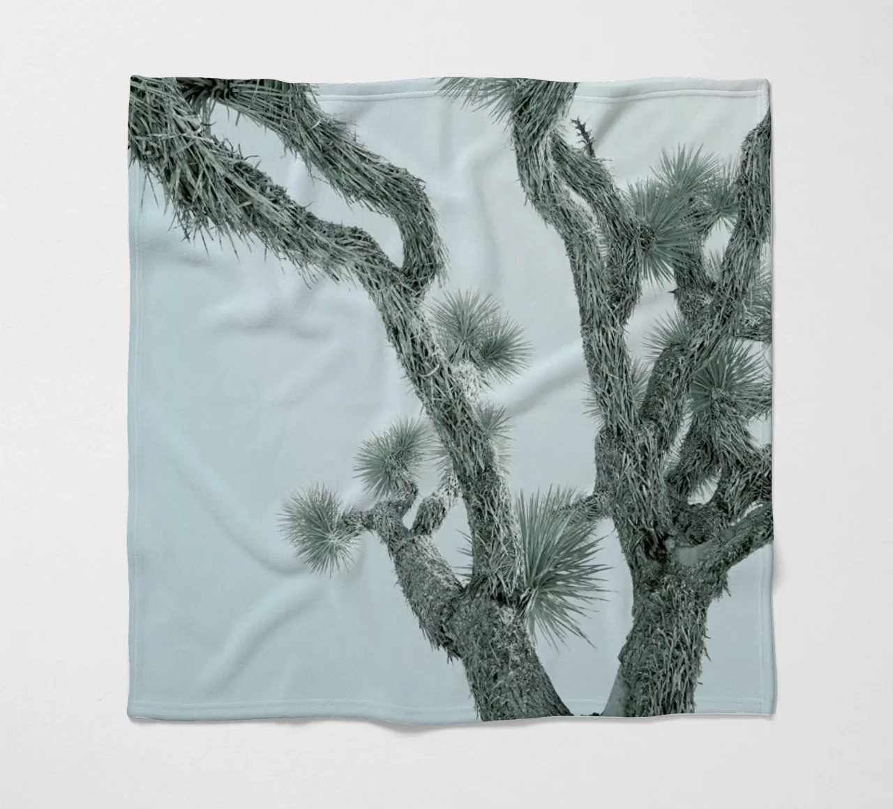 Joshua Tree coperta in pile da Shot By Clint