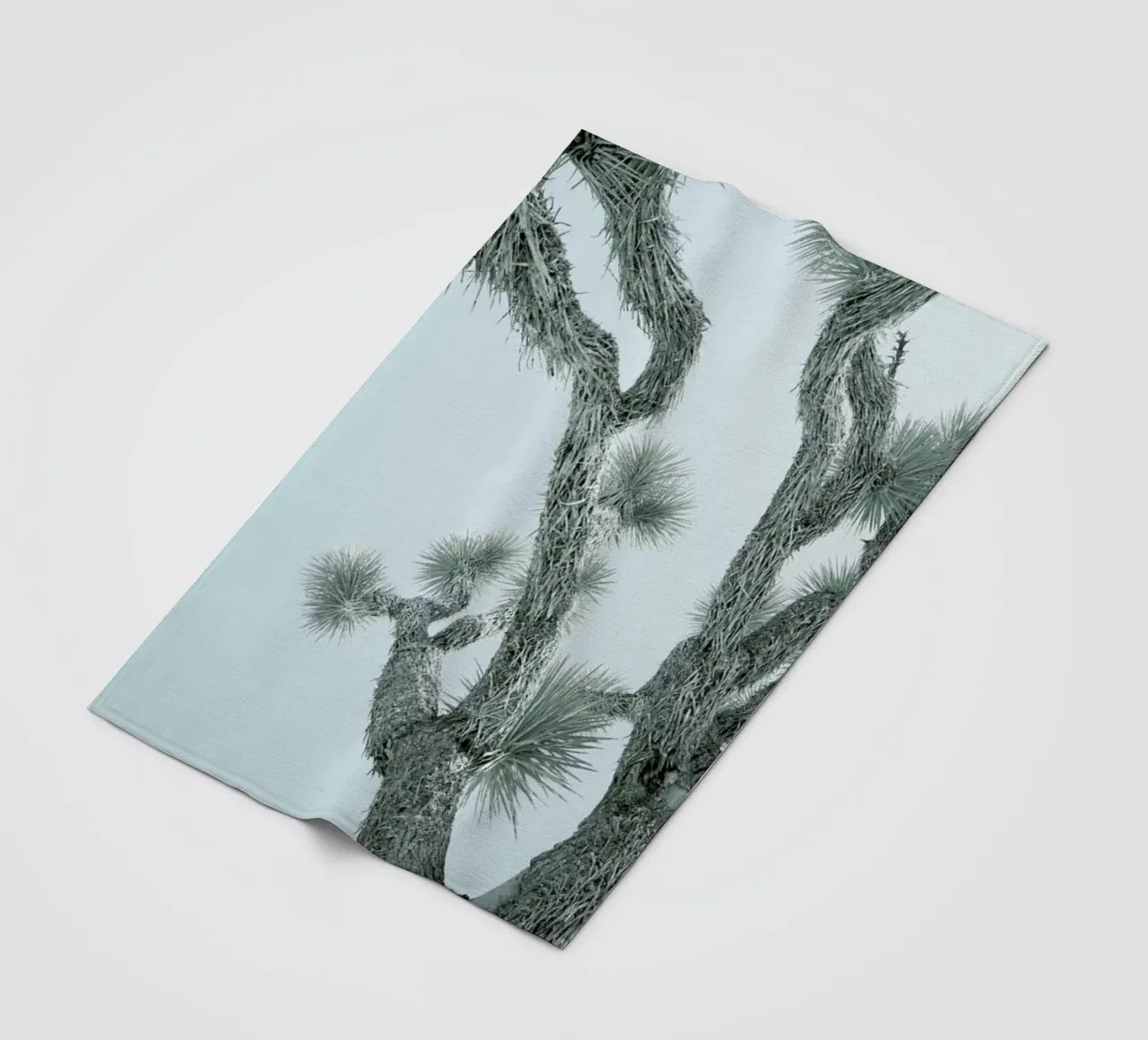 Joshua Tree coperta in pile da Shot By Clint