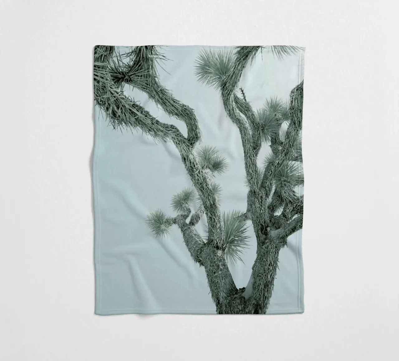 Joshua Tree coperta in pile da Shot By Clint