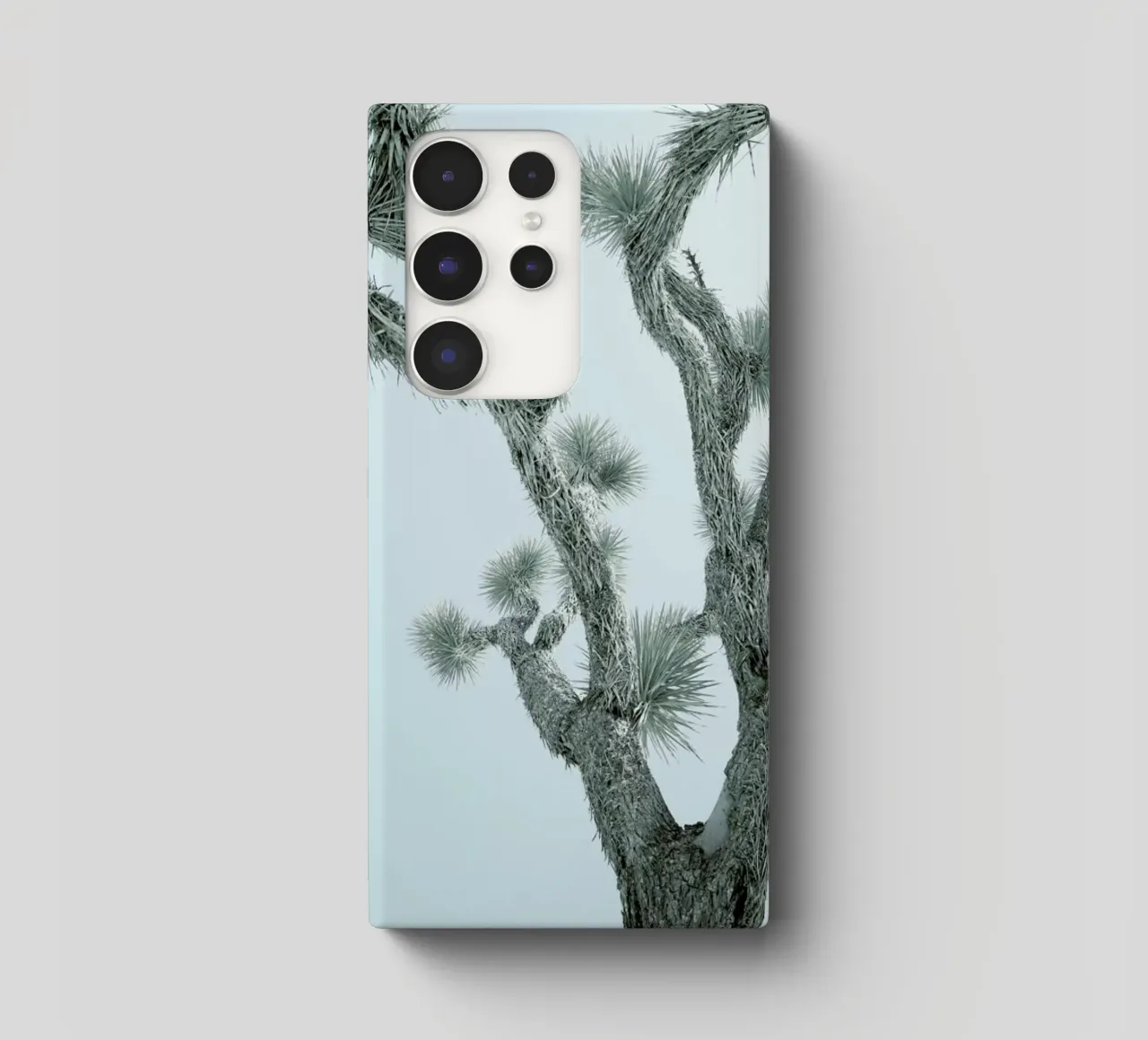 Joshua Tree cover samsung da Shot By Clint