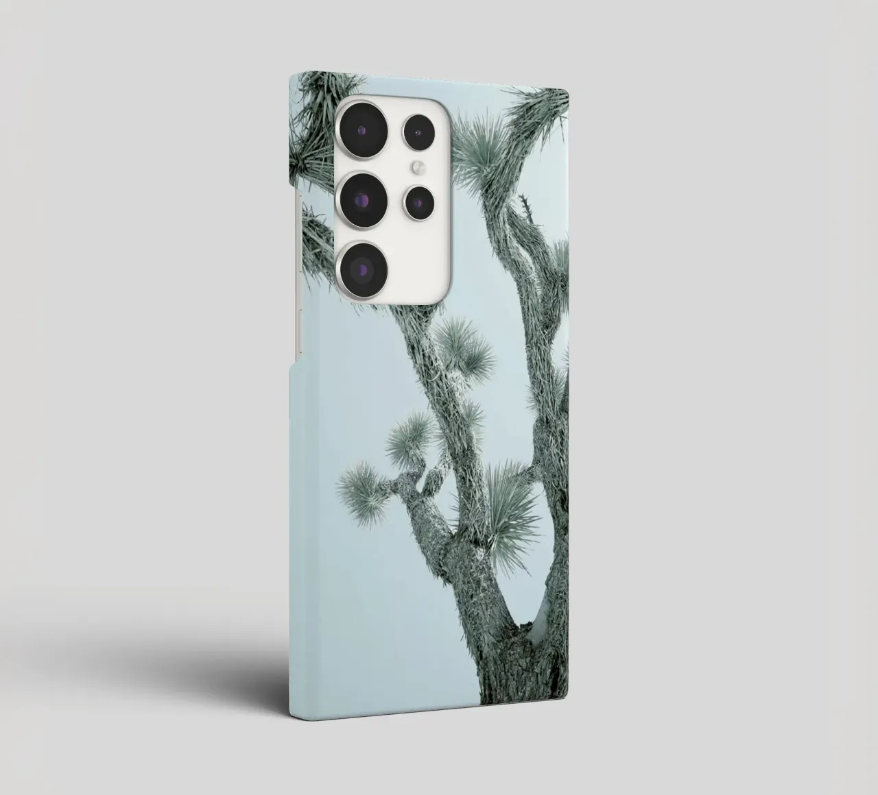 Joshua Tree cover samsung da Shot By Clint