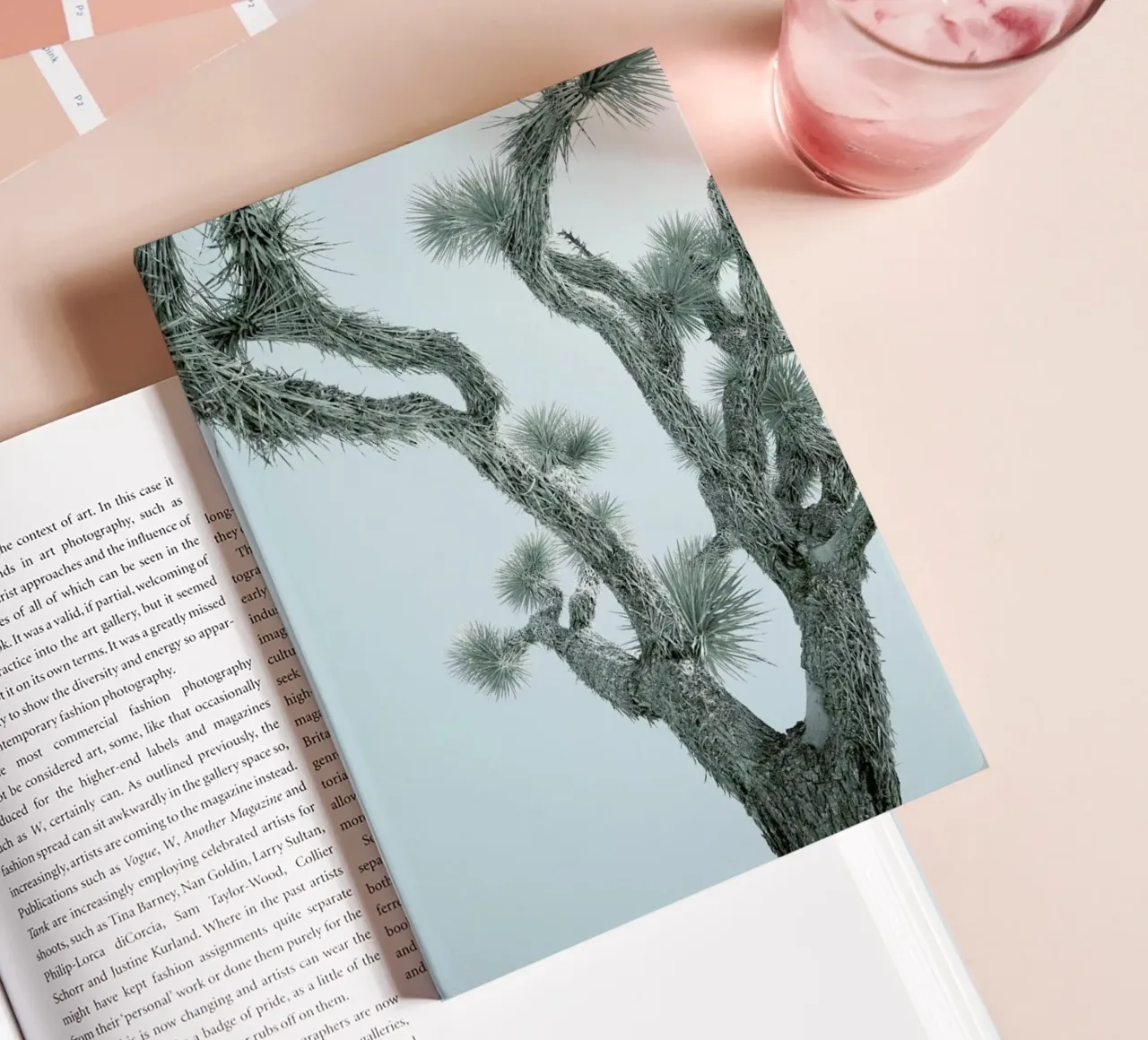 Joshua Tree diario da Shot By Clint