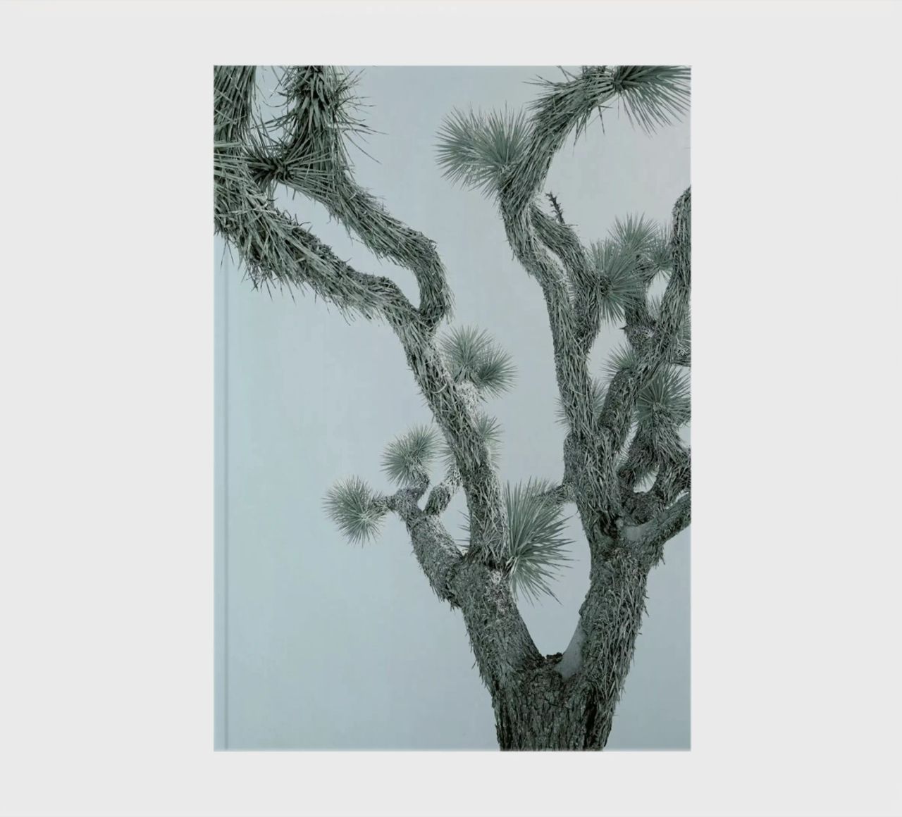 Joshua Tree notebook by Shot By Clint