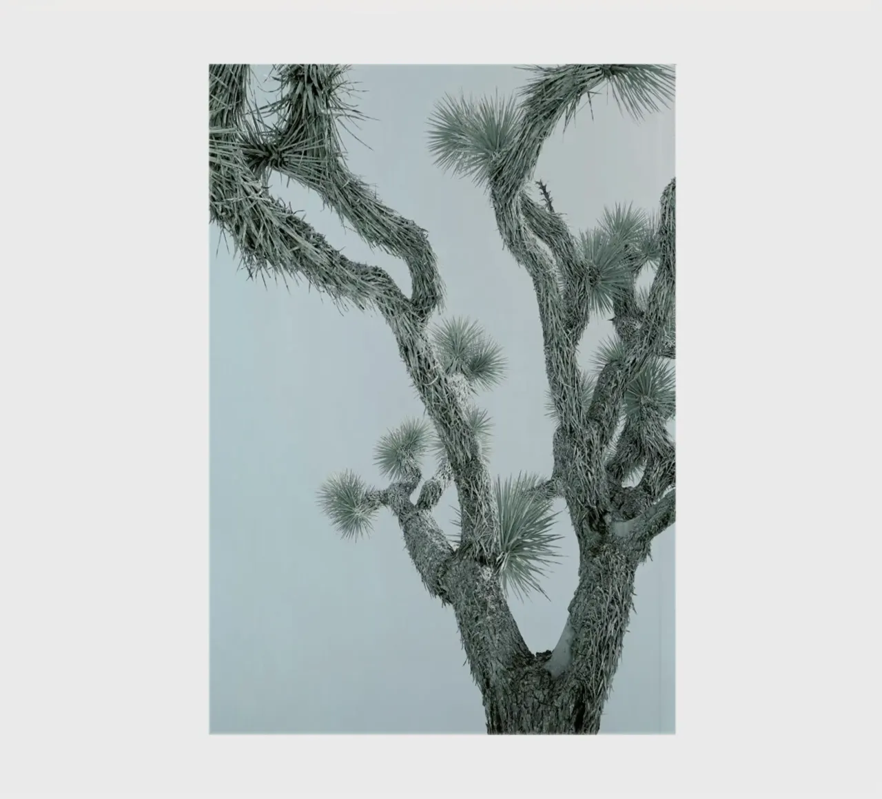 Joshua Tree Notizbuch von Shot By Clint