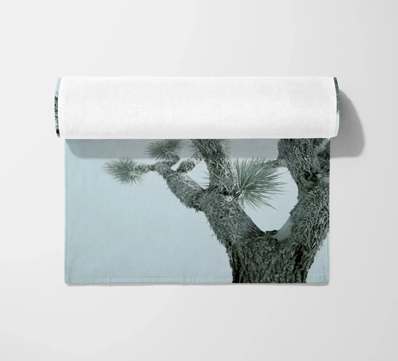 Joshua Tree telo mare da Shot By Clint