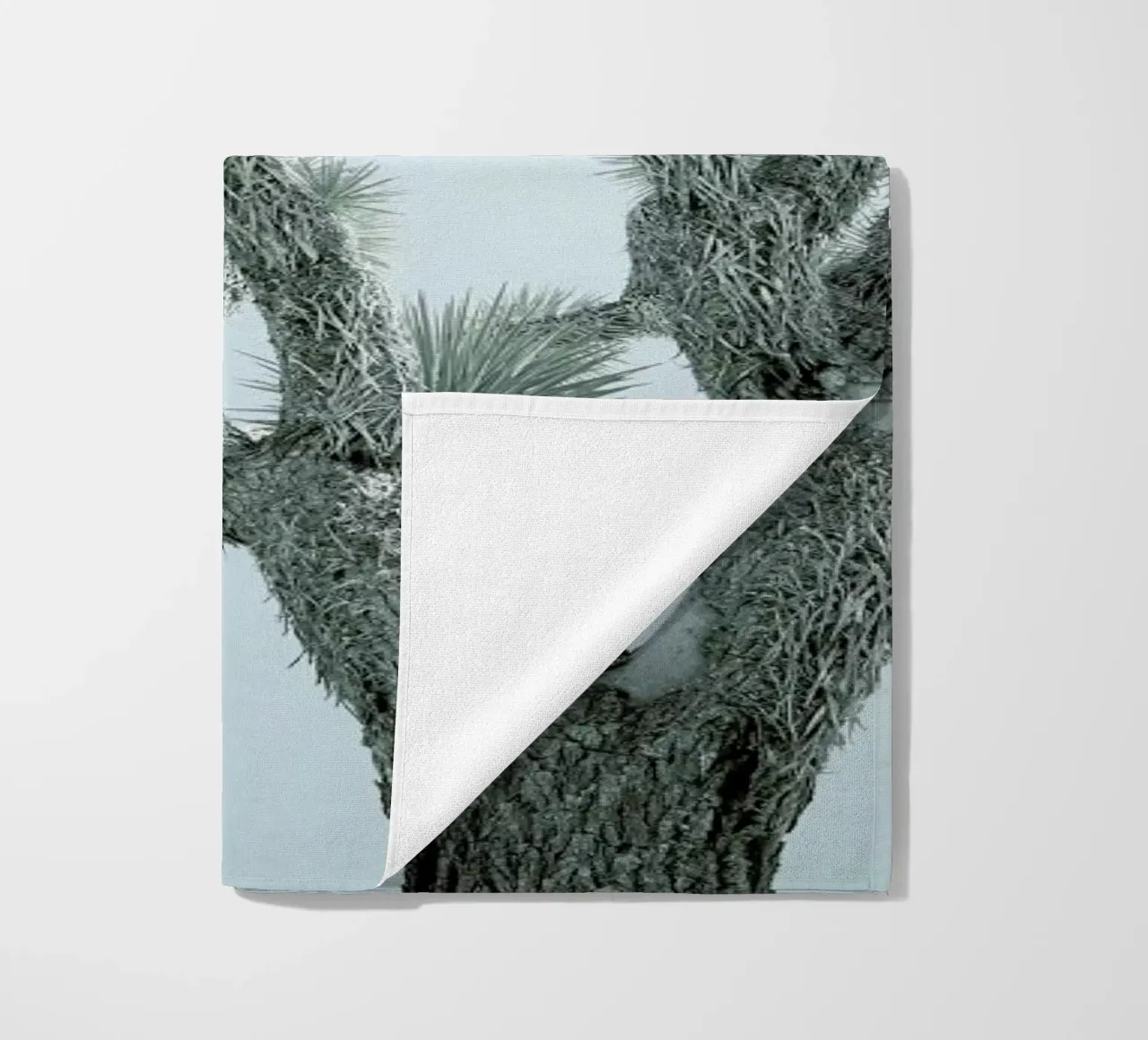 Joshua Tree telo mare da Shot By Clint