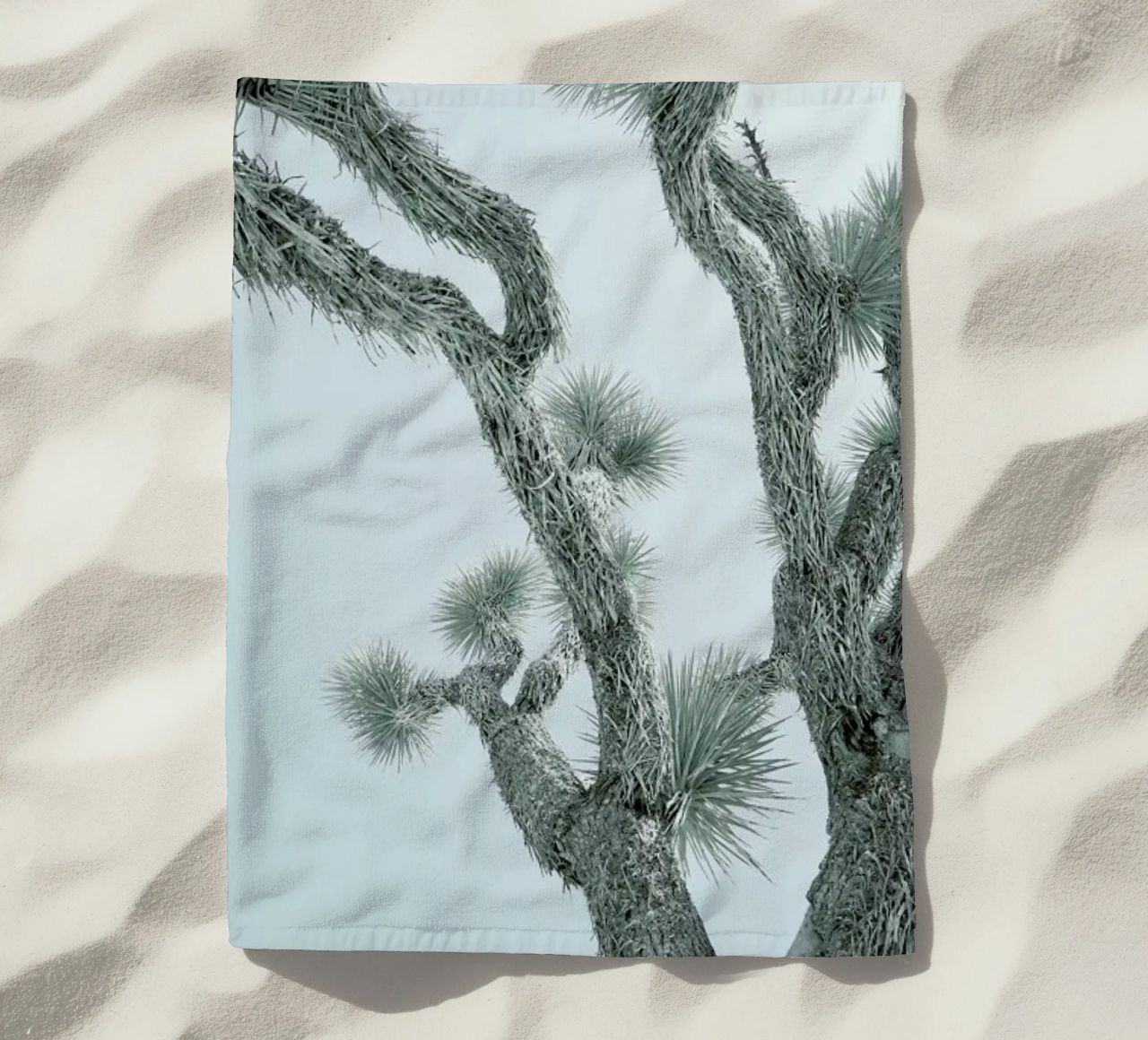 Joshua Tree telo mare da Shot By Clint