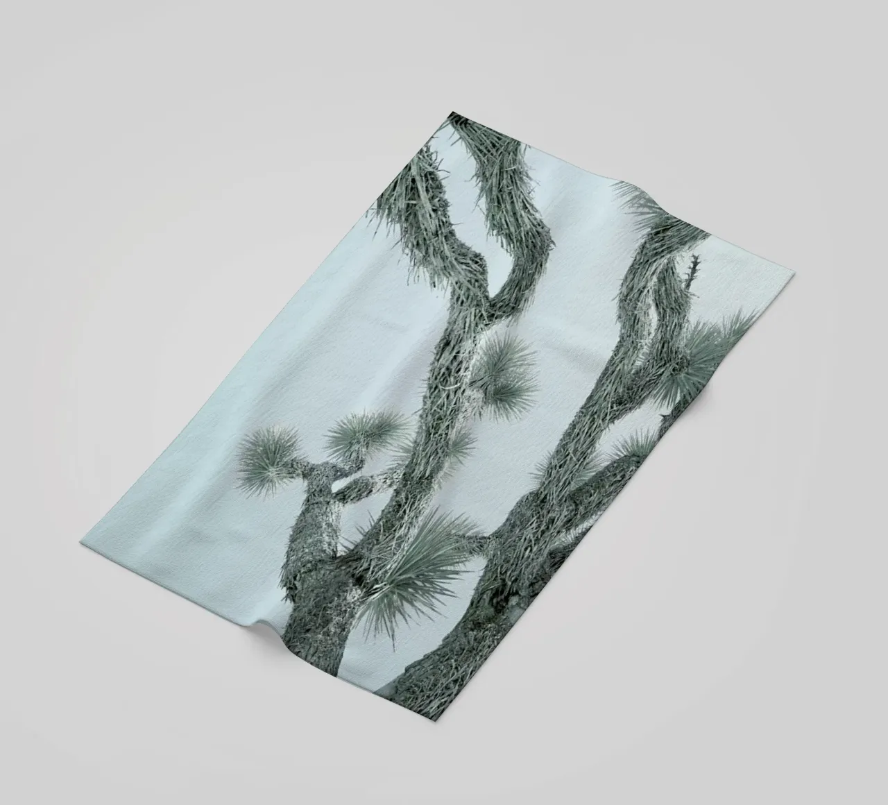 Joshua Tree telo mare da Shot By Clint