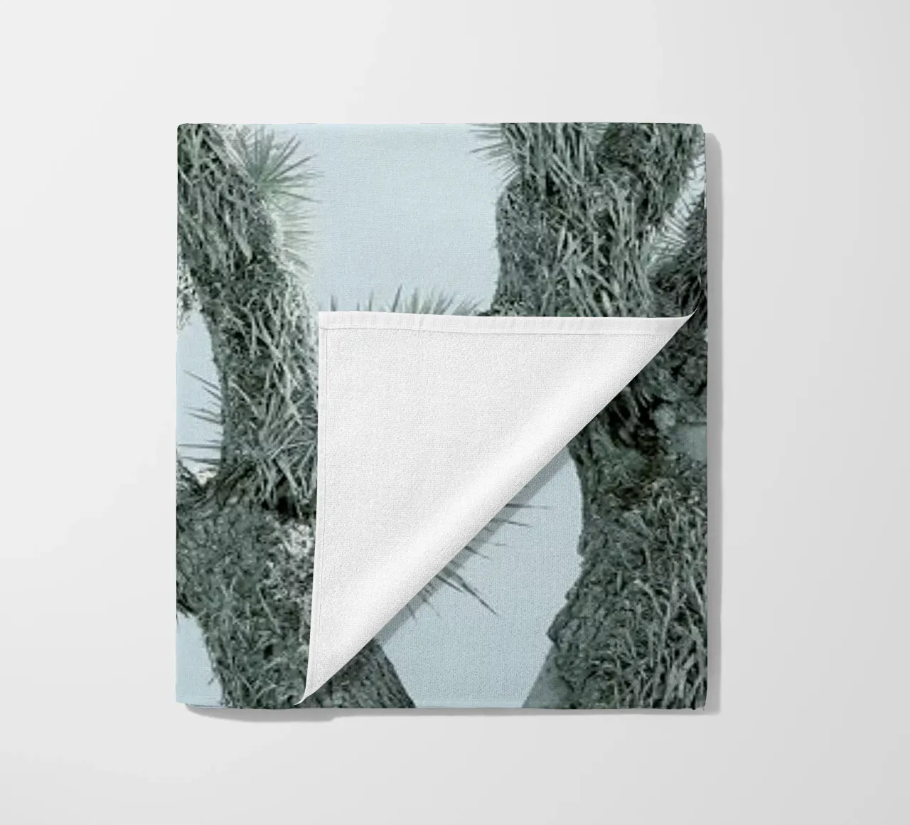 Joshua Tree telo mare da Shot By Clint