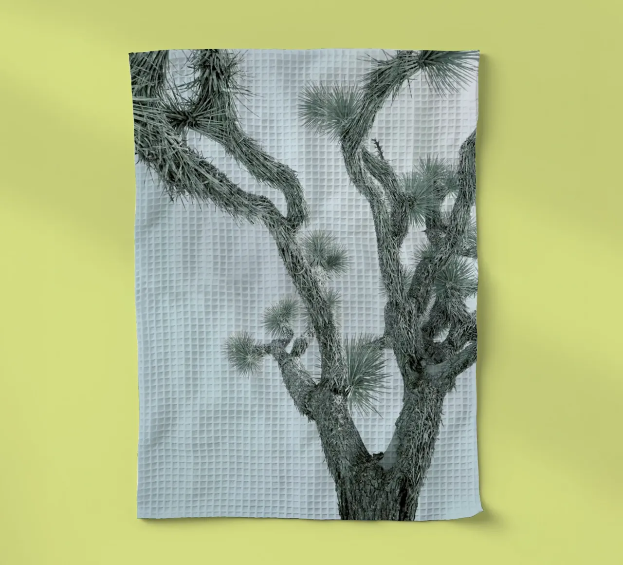 Joshua Tree canovaccio da cucina da Shot By Clint