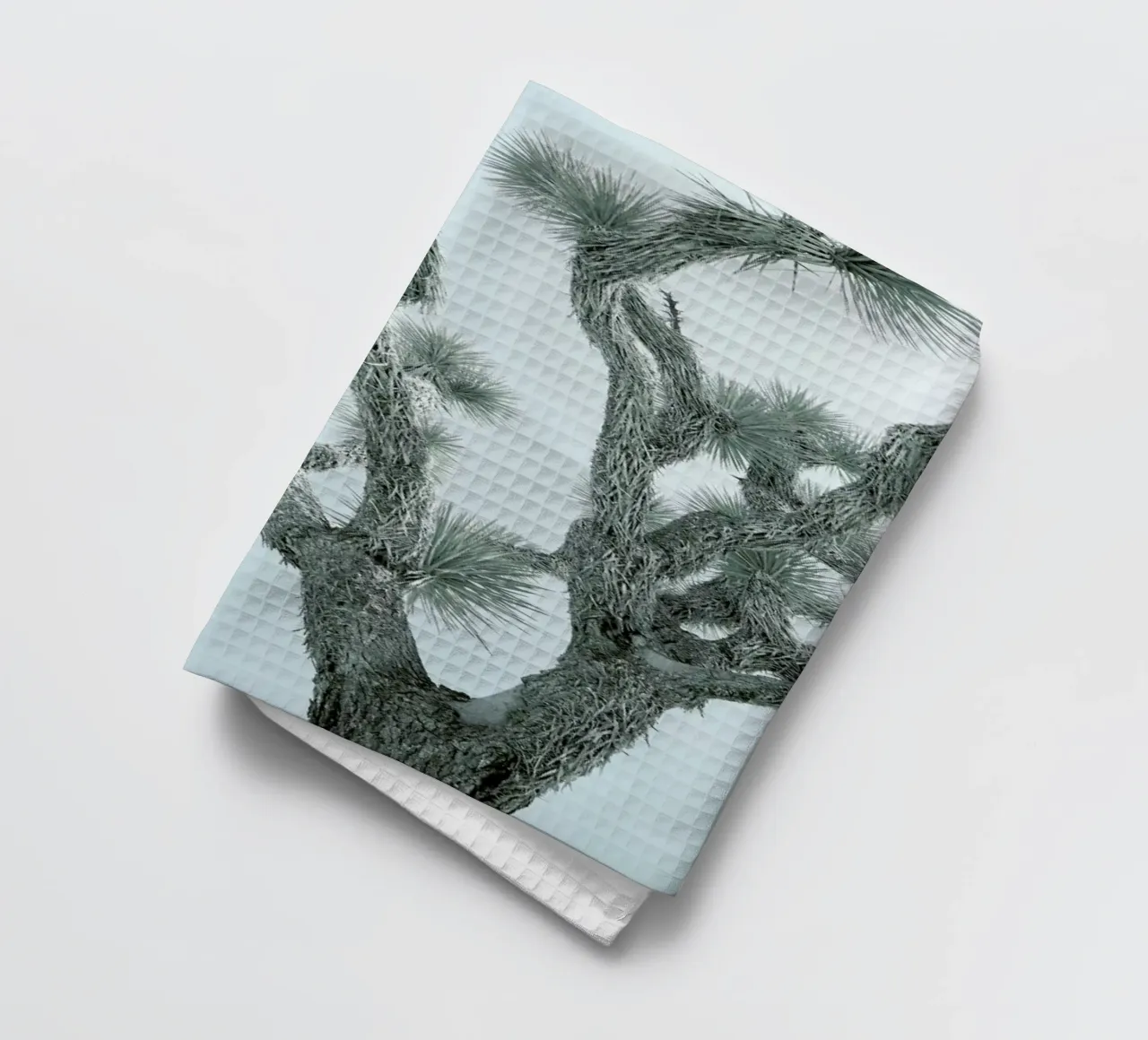 Joshua Tree canovaccio da cucina da Shot By Clint