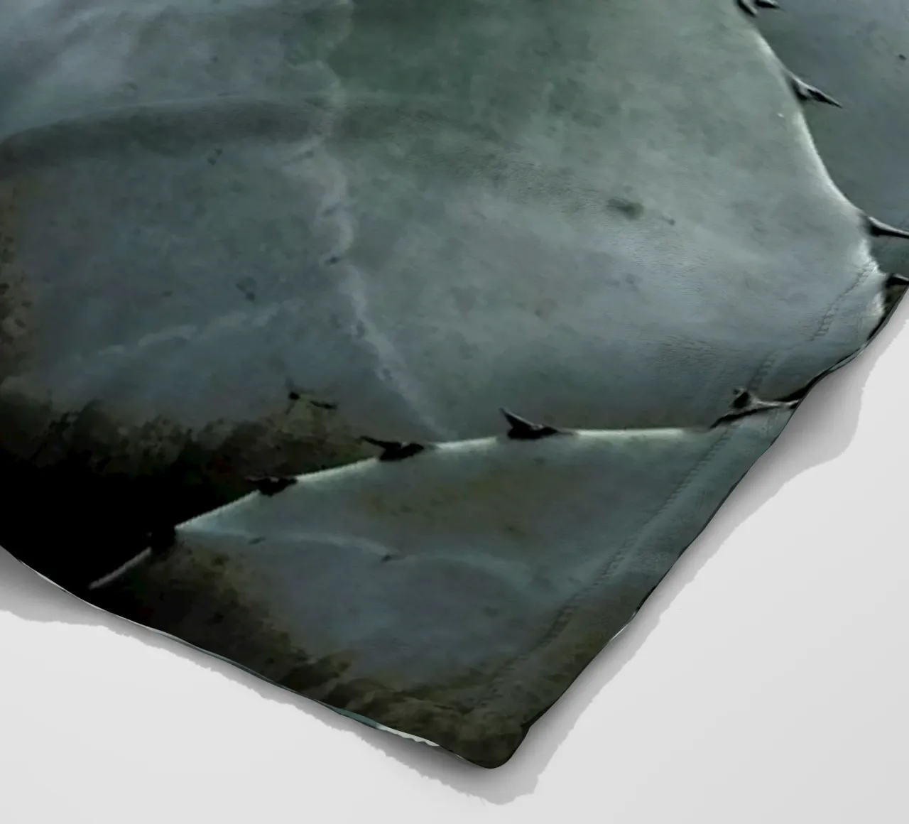 Agave Fleecedecke von Shot By Clint