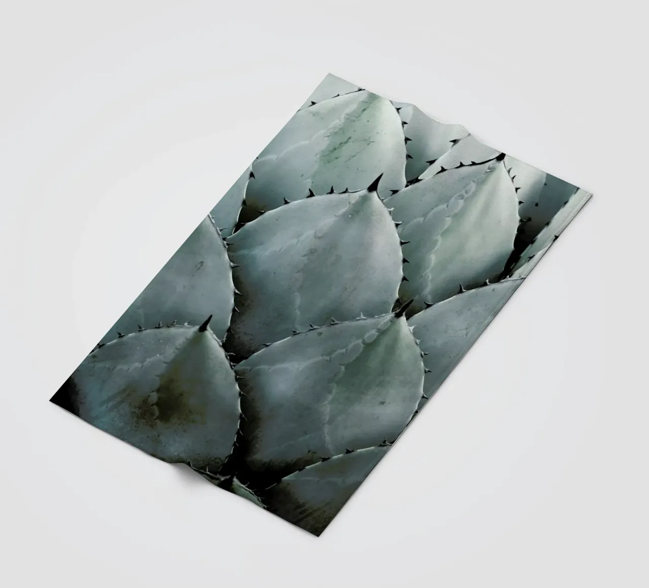 Agave Fleecedecke von Shot By Clint