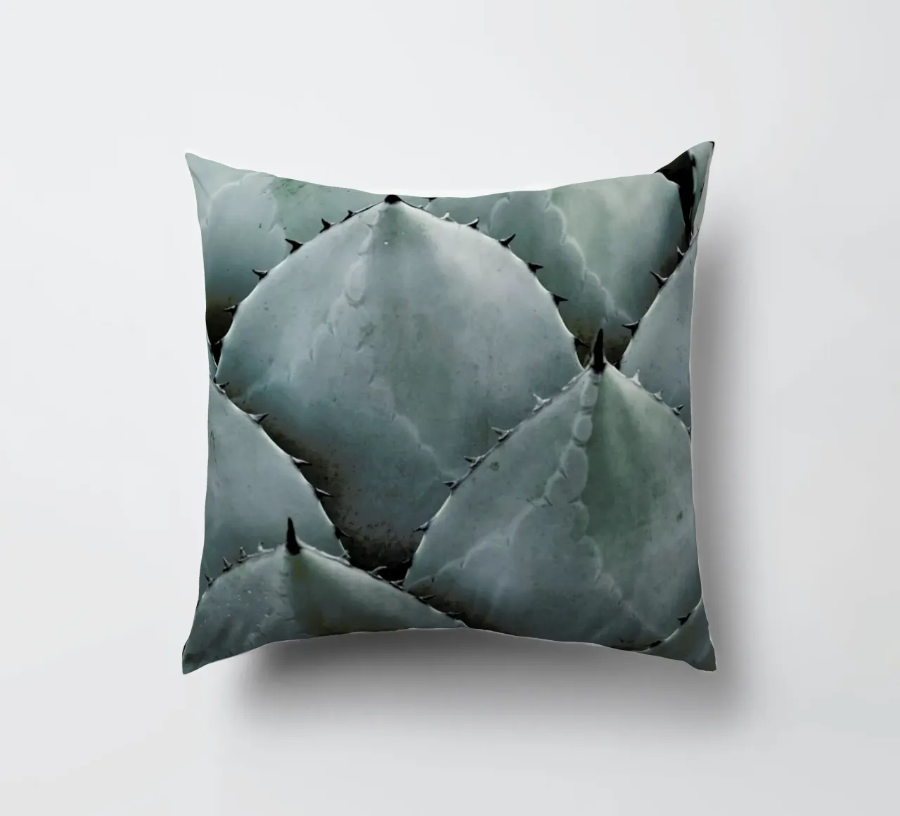 Agave cuscino da Shot By Clint