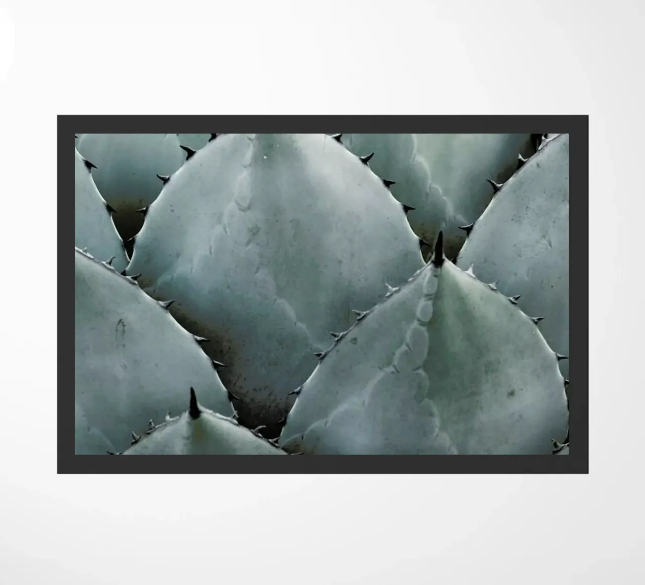 Agave Fußmatte von Shot By Clint