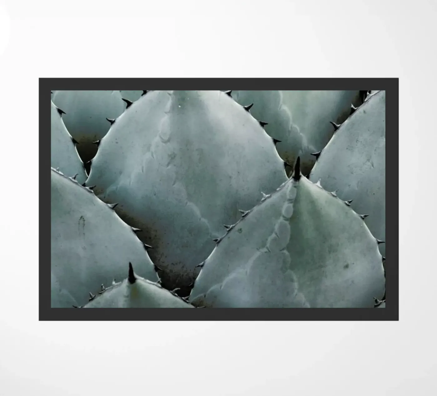 Agave deurmat van Shot By Clint
