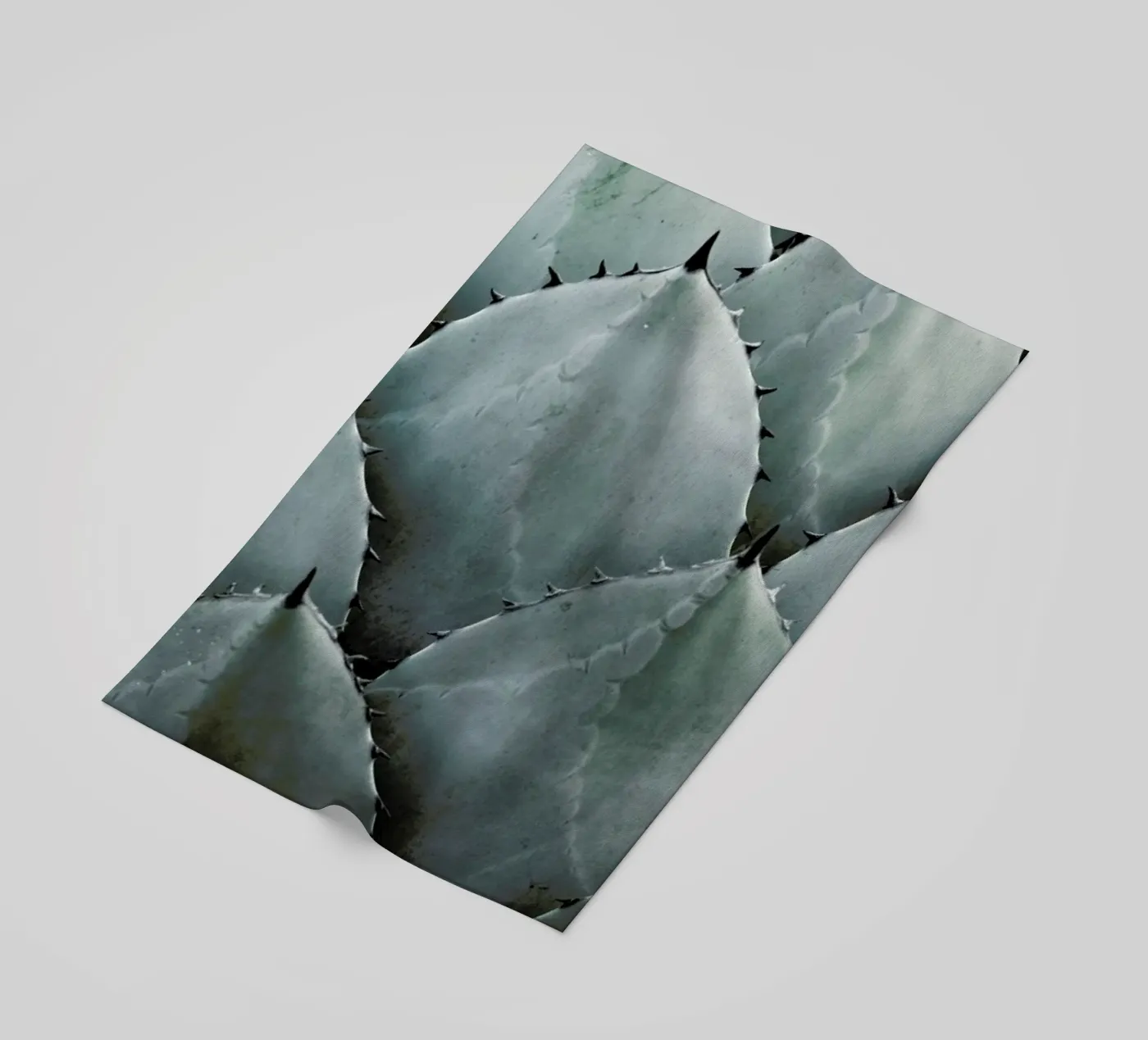 Agave beach towel by Shot By Clint