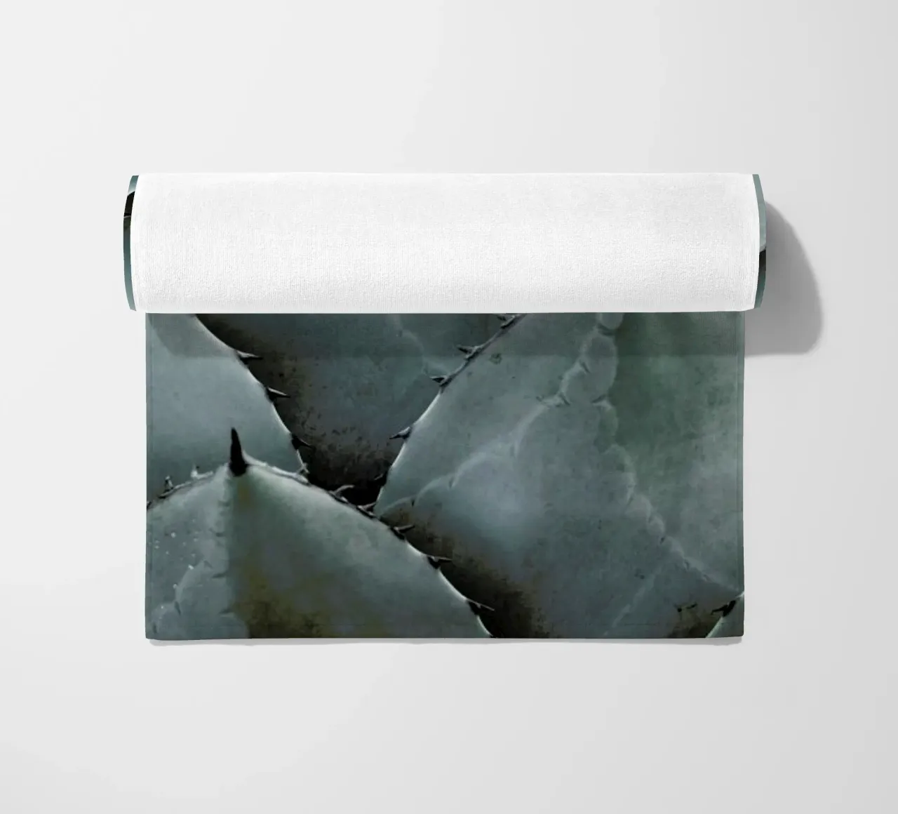 Agave telo mare da Shot By Clint