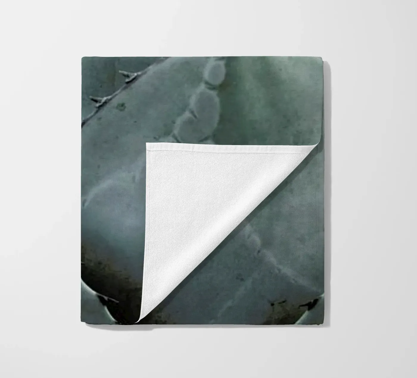 Agave beach towel by Shot By Clint