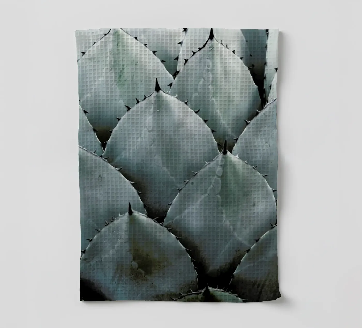 Agave torchon de Shot By Clint