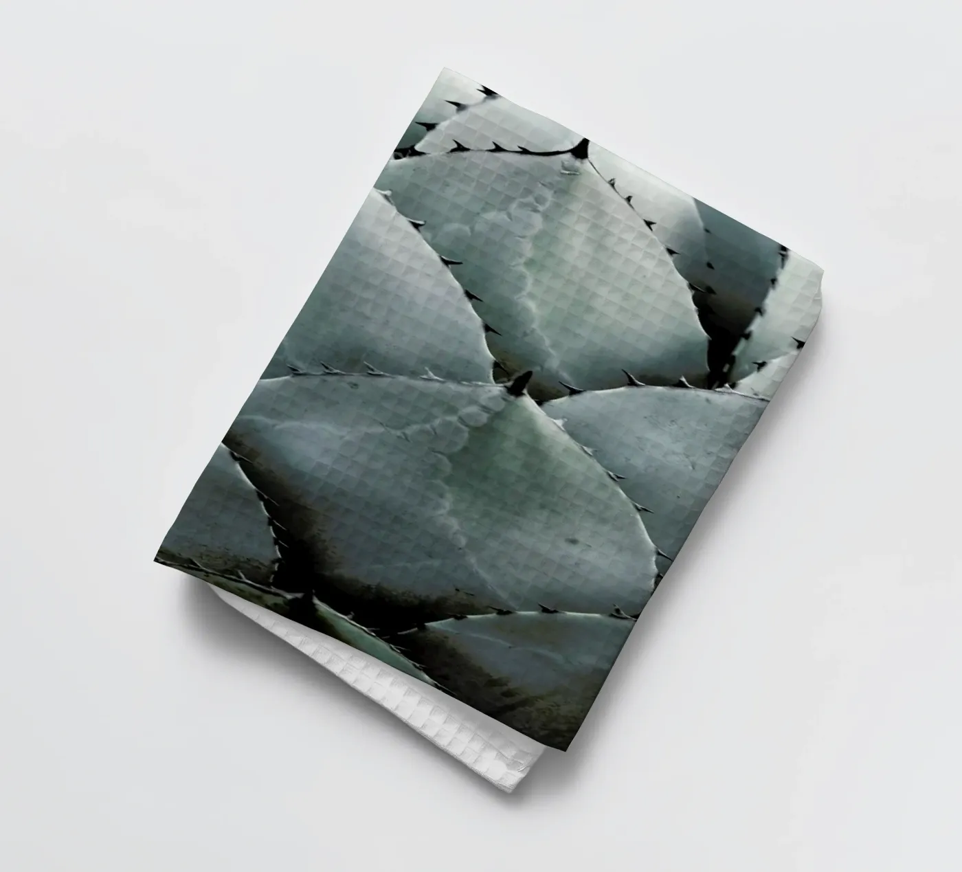 Agave torchon de Shot By Clint