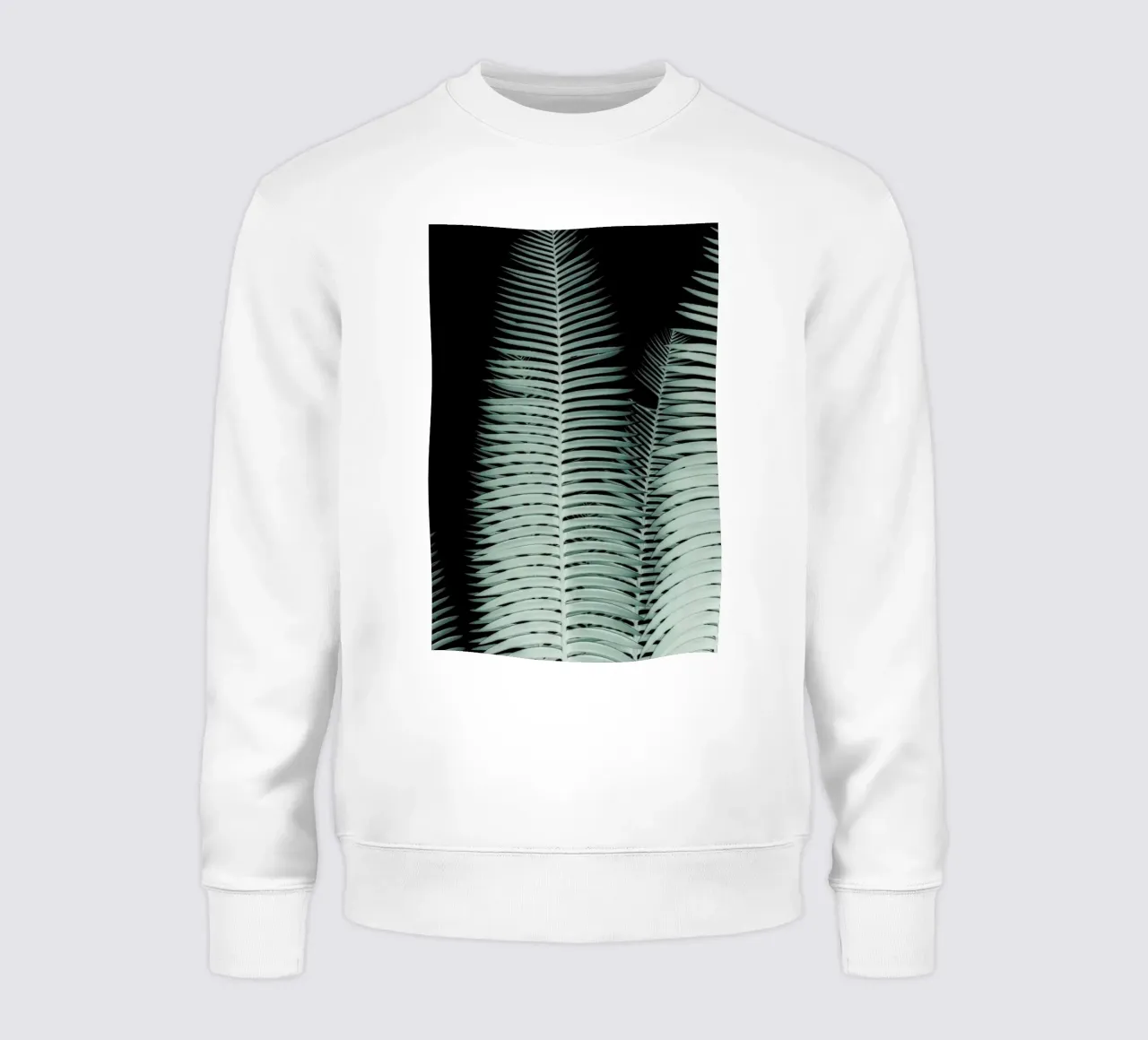 Cycas felpa da Shot By Clint
