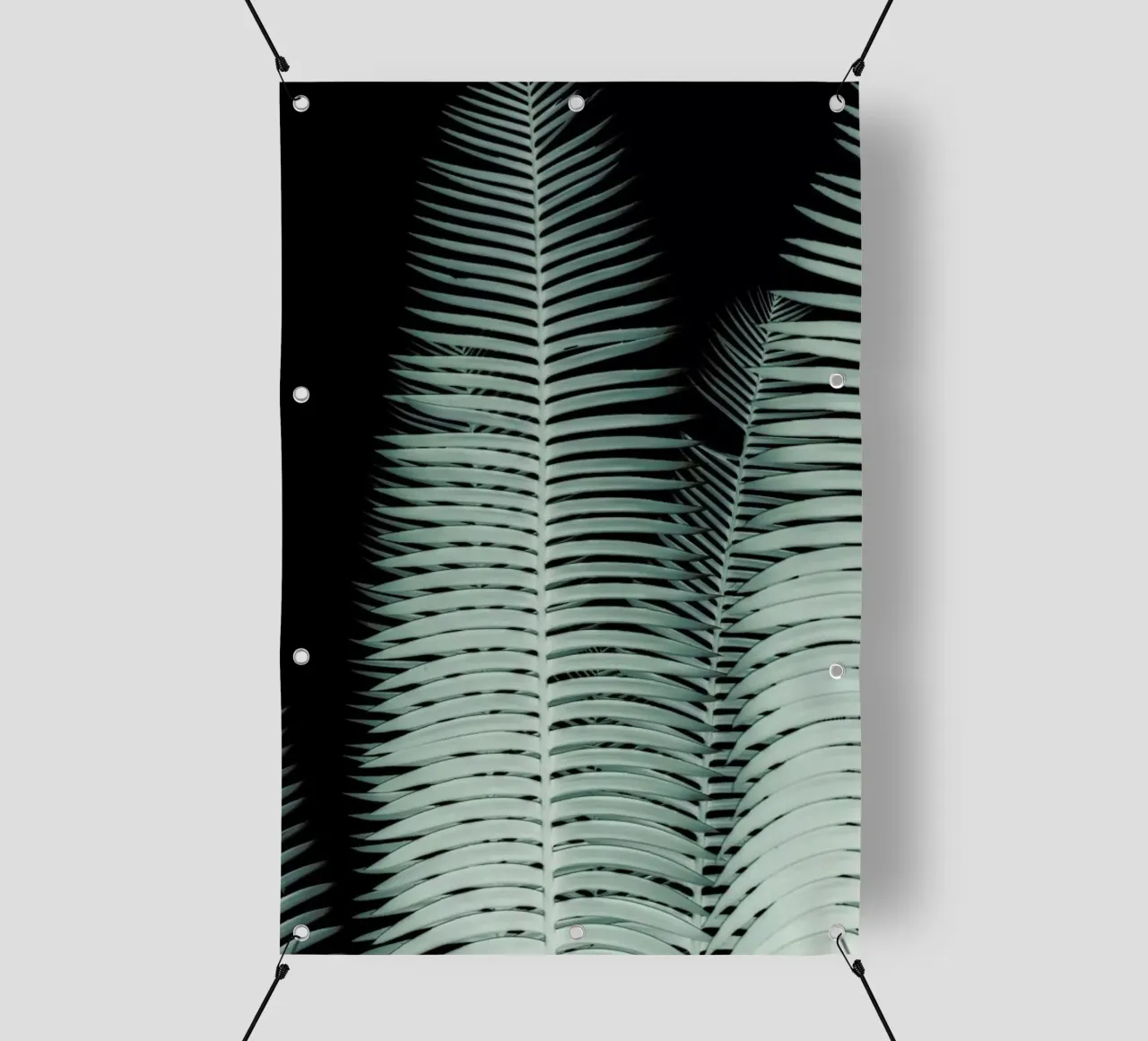 Cycas telo in pvc da Shot By Clint