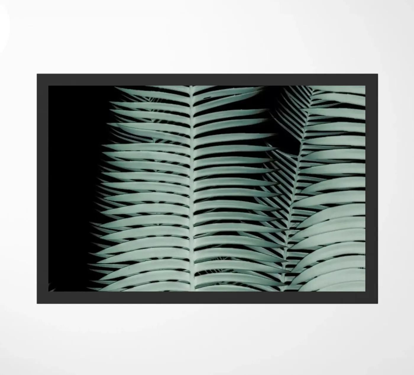 Cycas deurmat van Shot By Clint