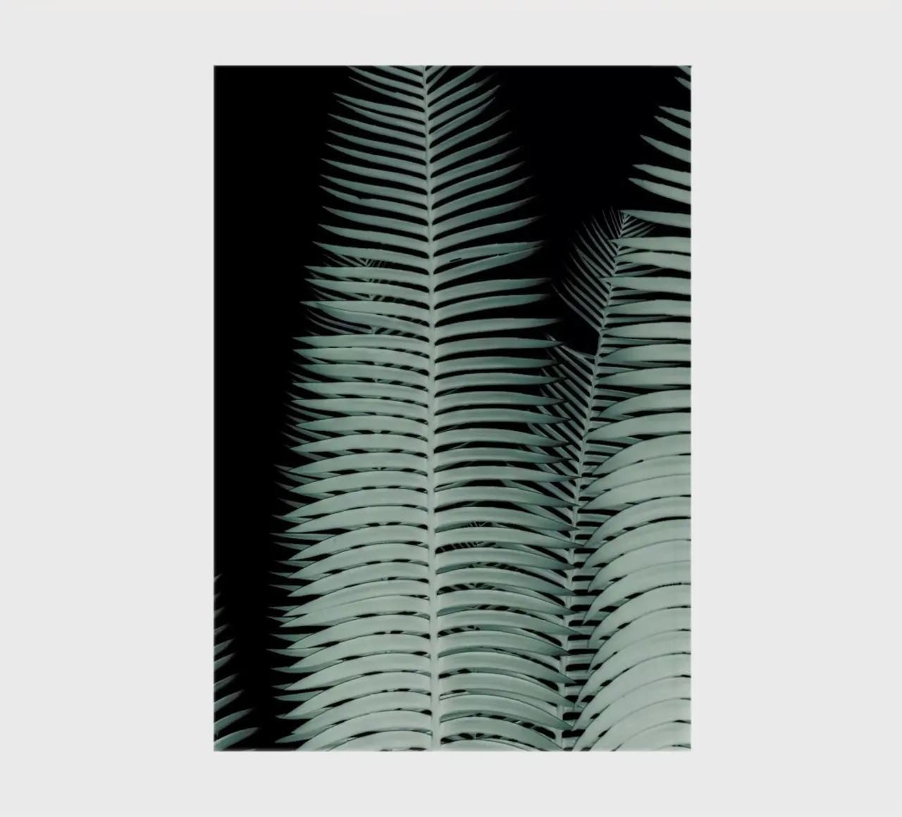Cycas notebook by Shot By Clint