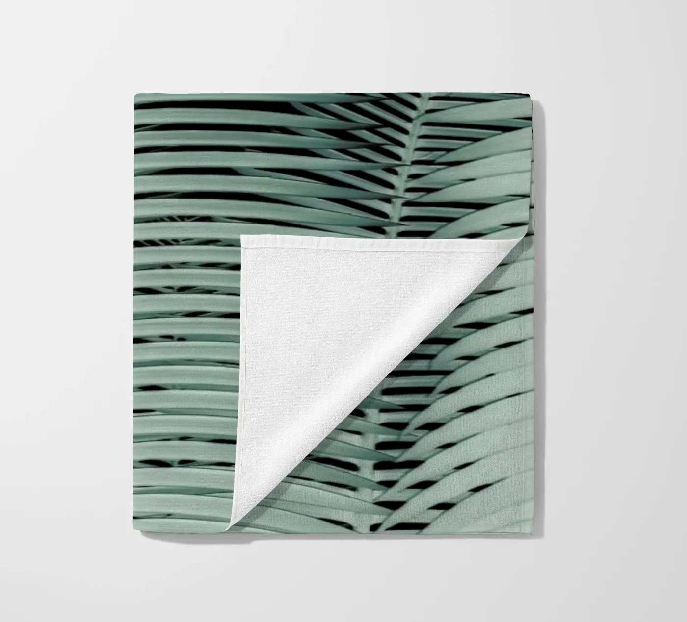 Cycas beach towel by Shot By Clint