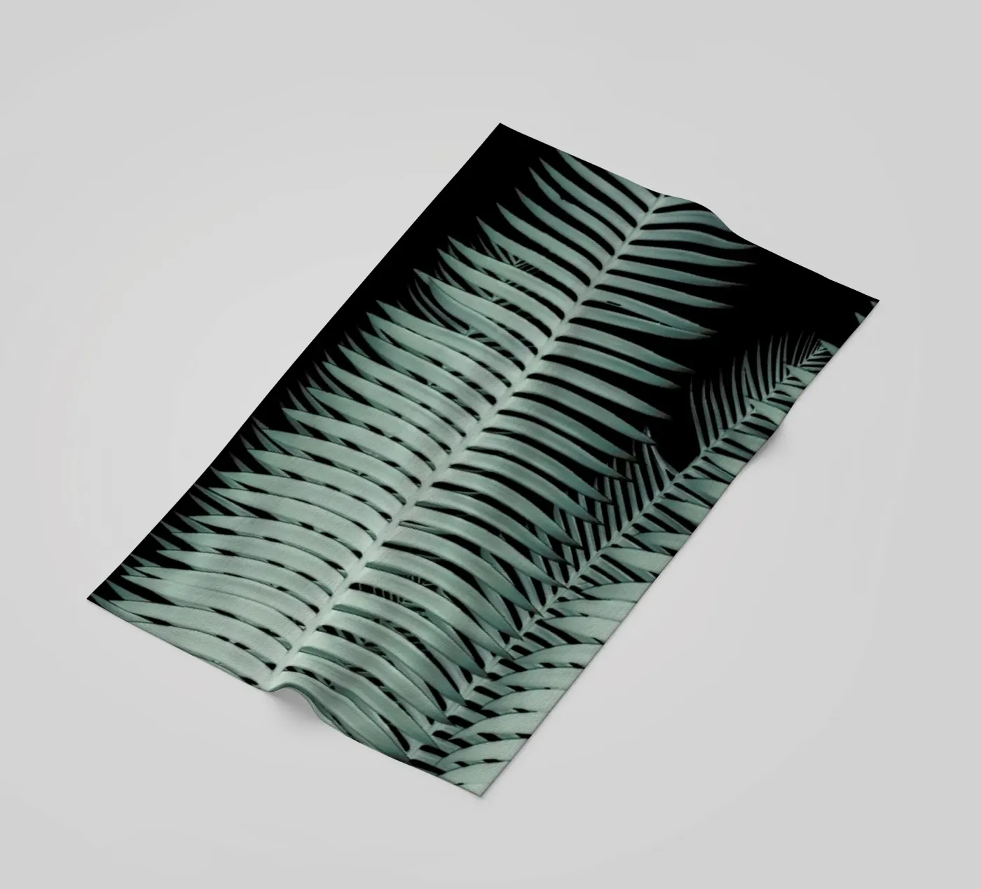 Cycas beach towel by Shot By Clint