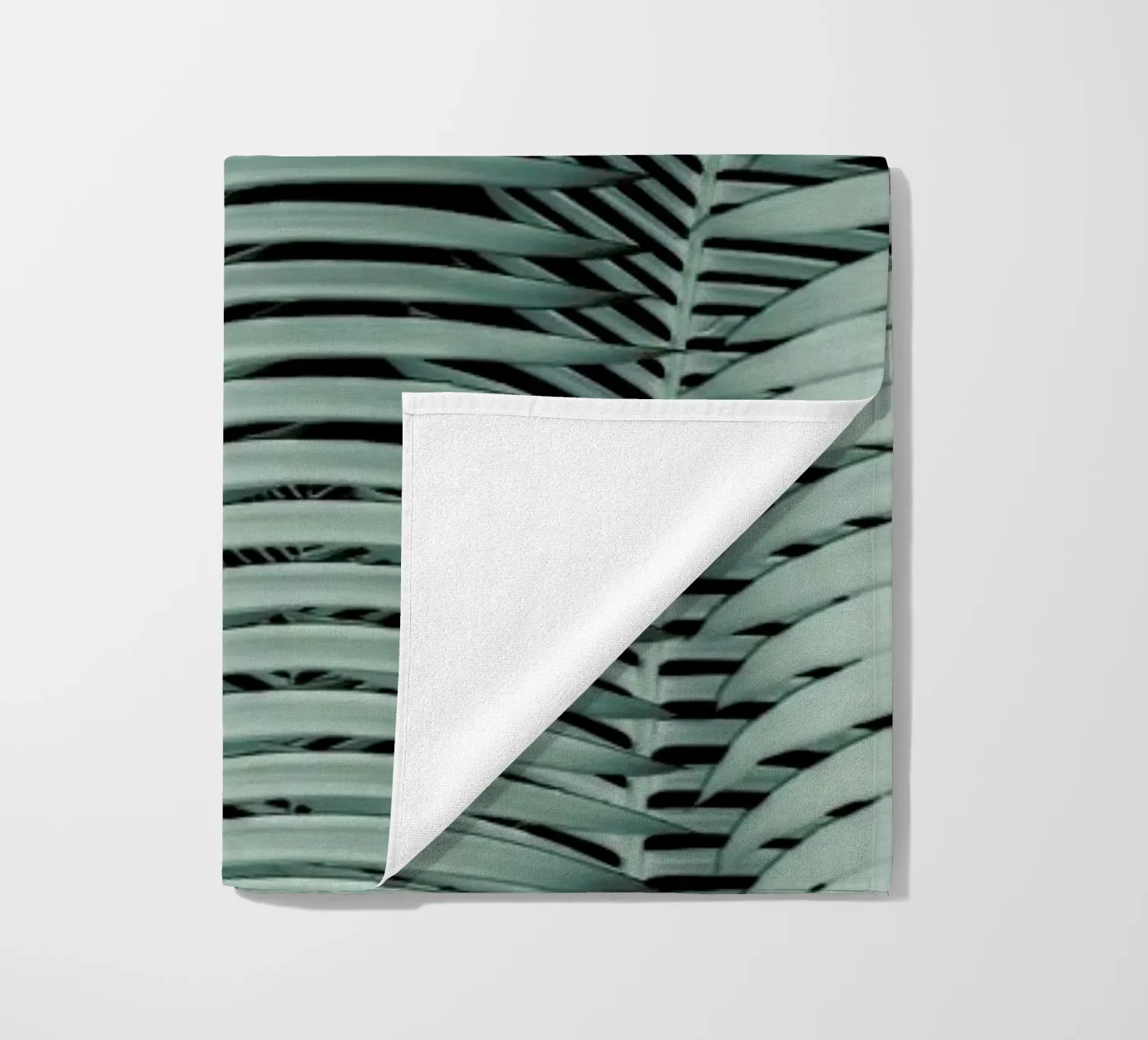 Cycas beach towel by Shot By Clint