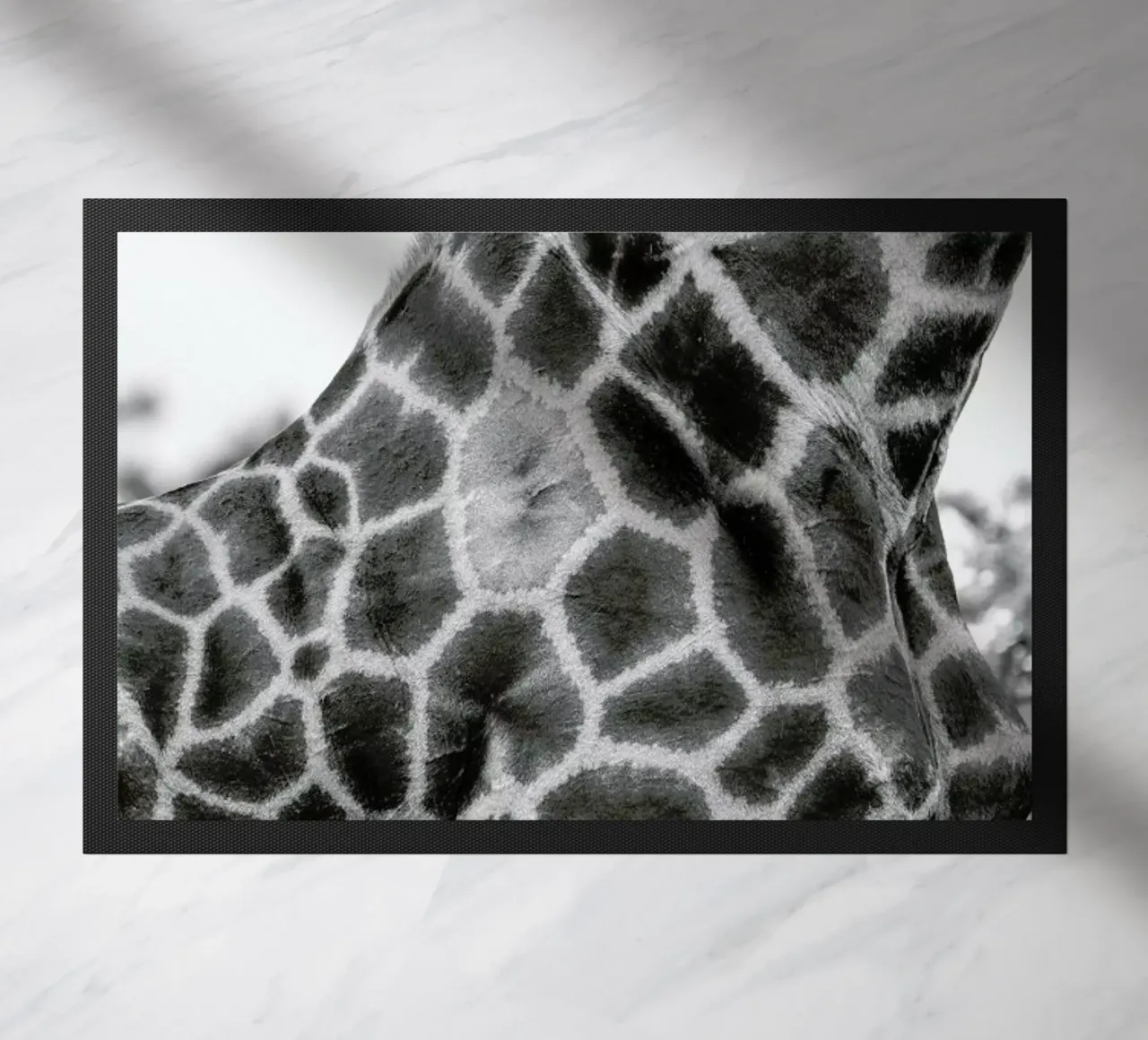 Giraph detail zerbino da Shot By Clint