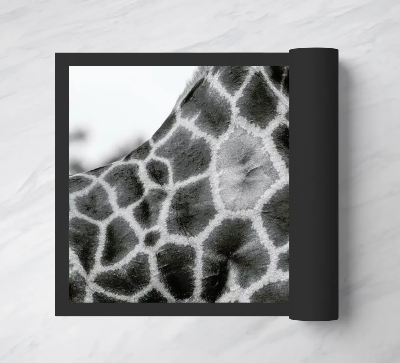 Giraph detail zerbino da Shot By Clint