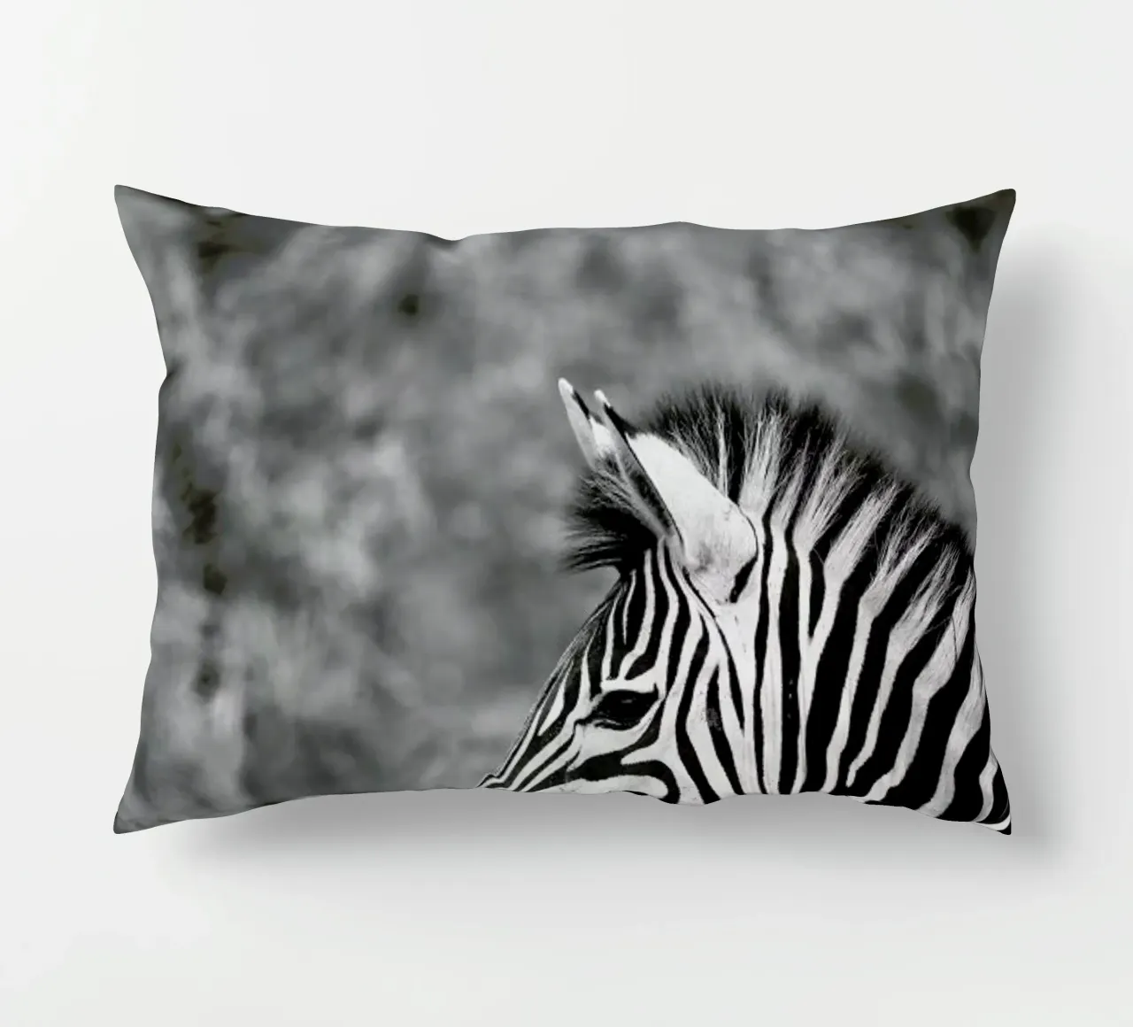Zebra cuscino da Shot By Clint