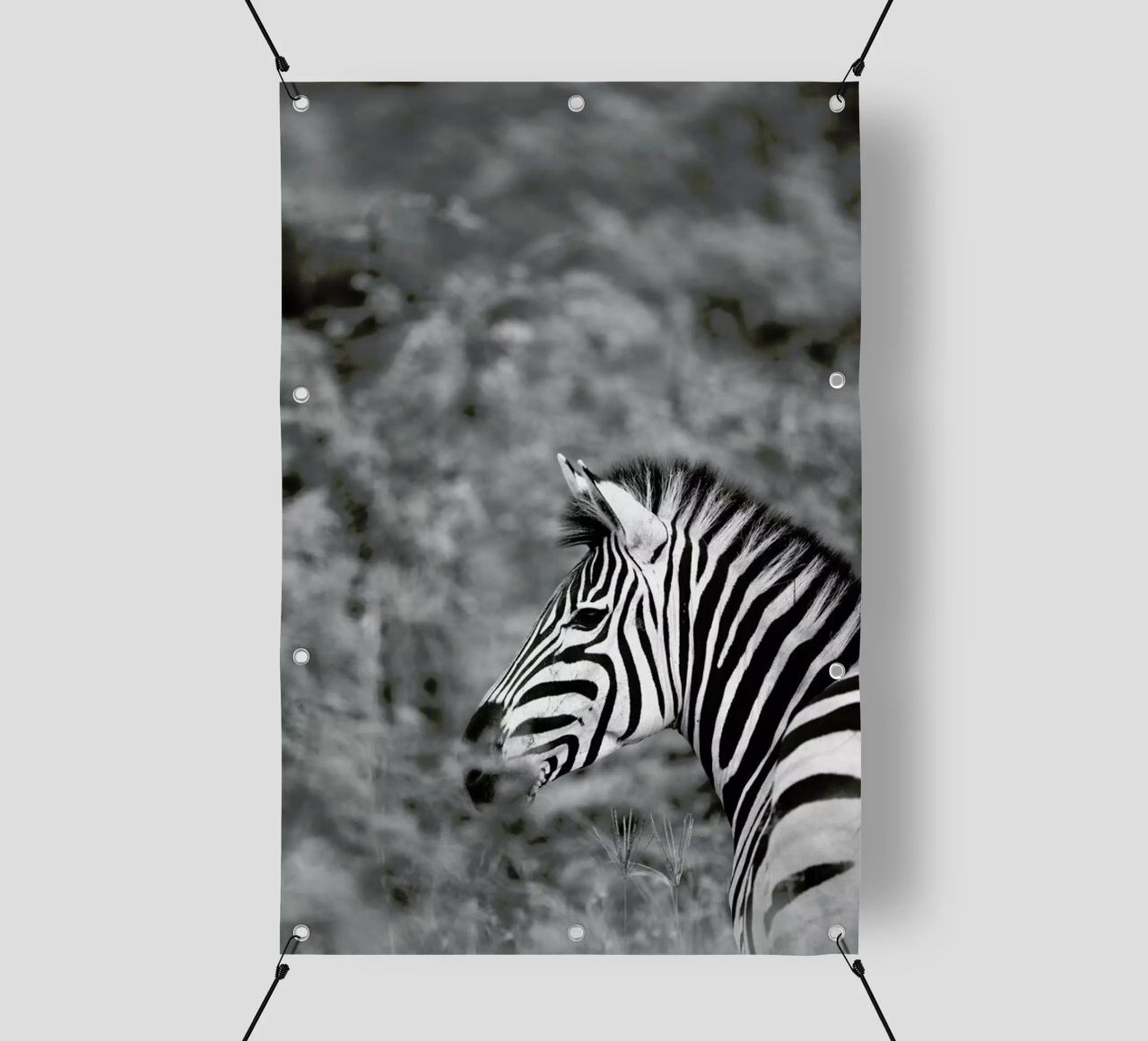 Zebra telo in pvc da Shot By Clint