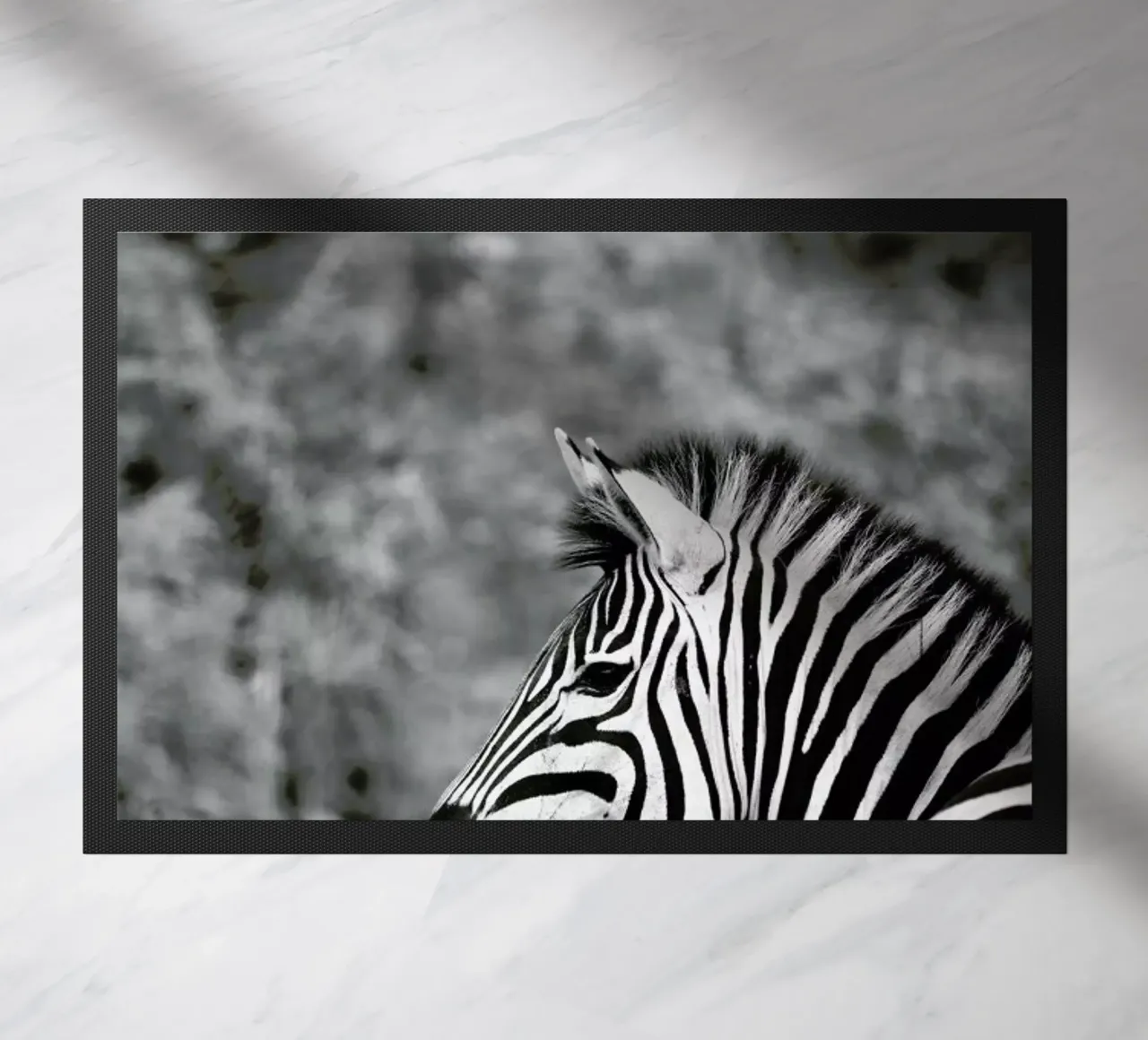 Zebra zerbino da Shot By Clint