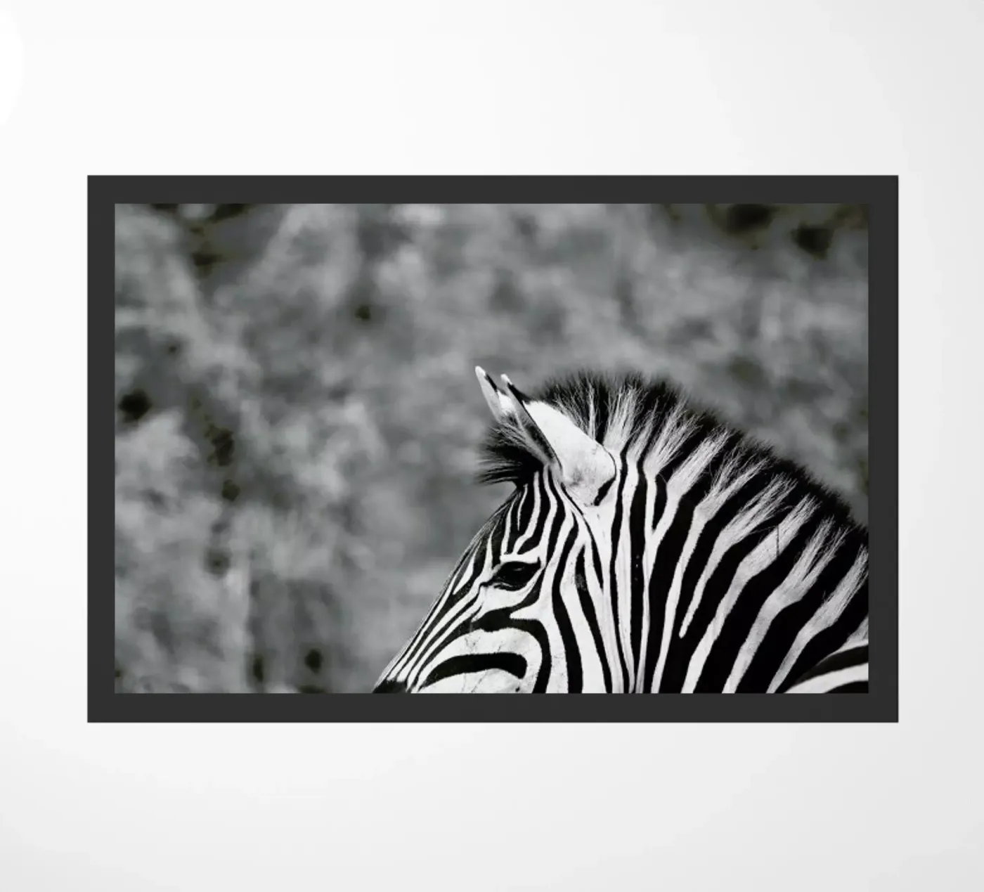 Zebra doormat by Shot By Clint