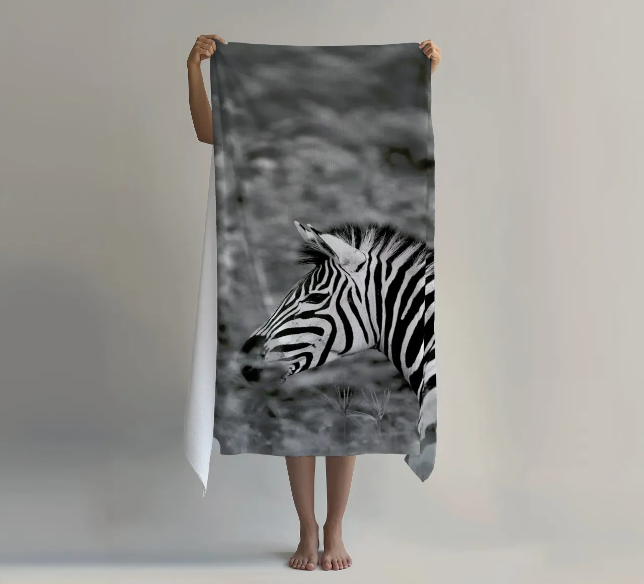 Zebra telo mare da Shot By Clint