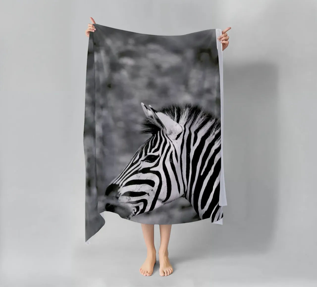 Zebra telo mare da Shot By Clint