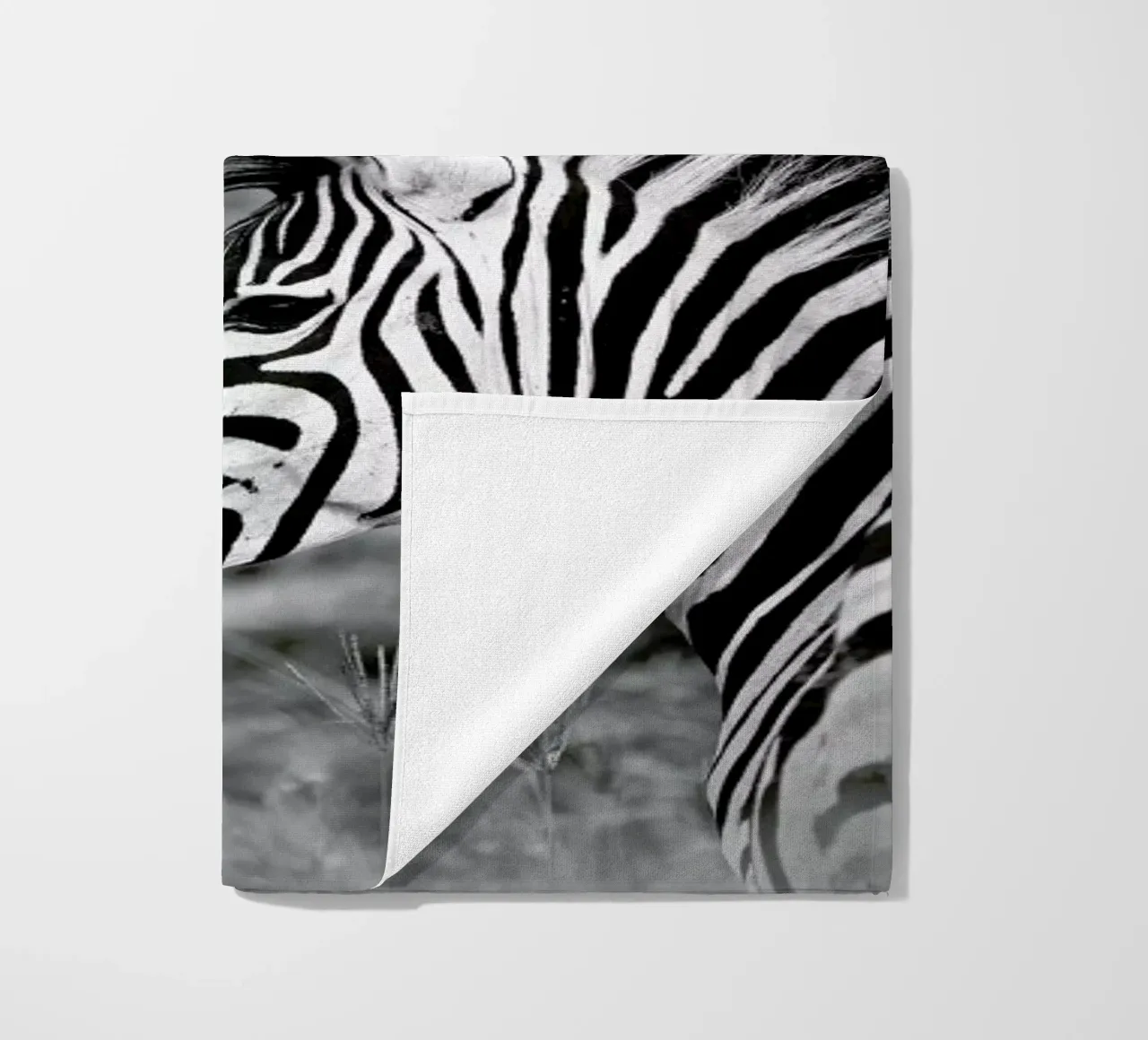 Zebra telo mare da Shot By Clint