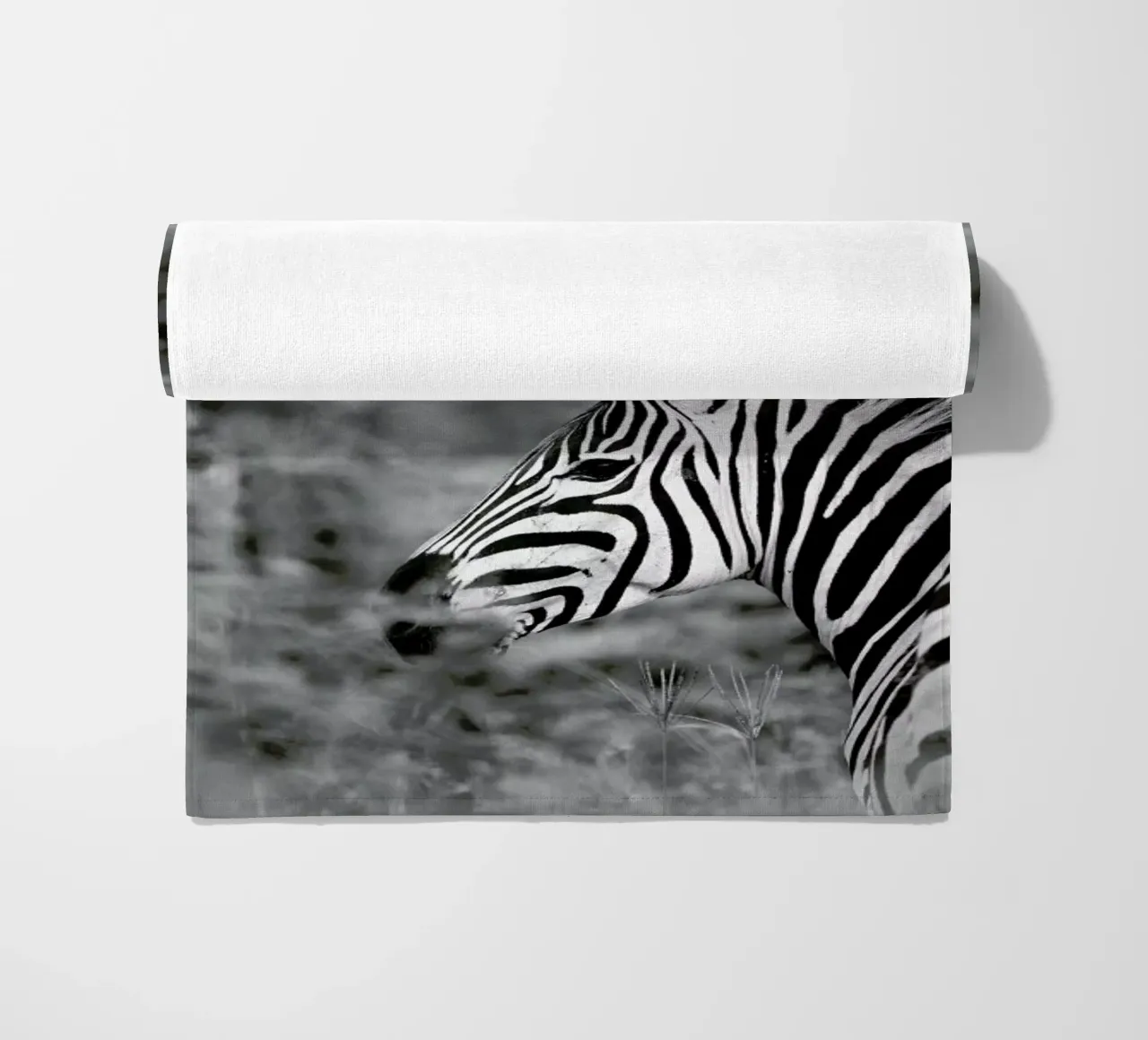 Zebra telo mare da Shot By Clint