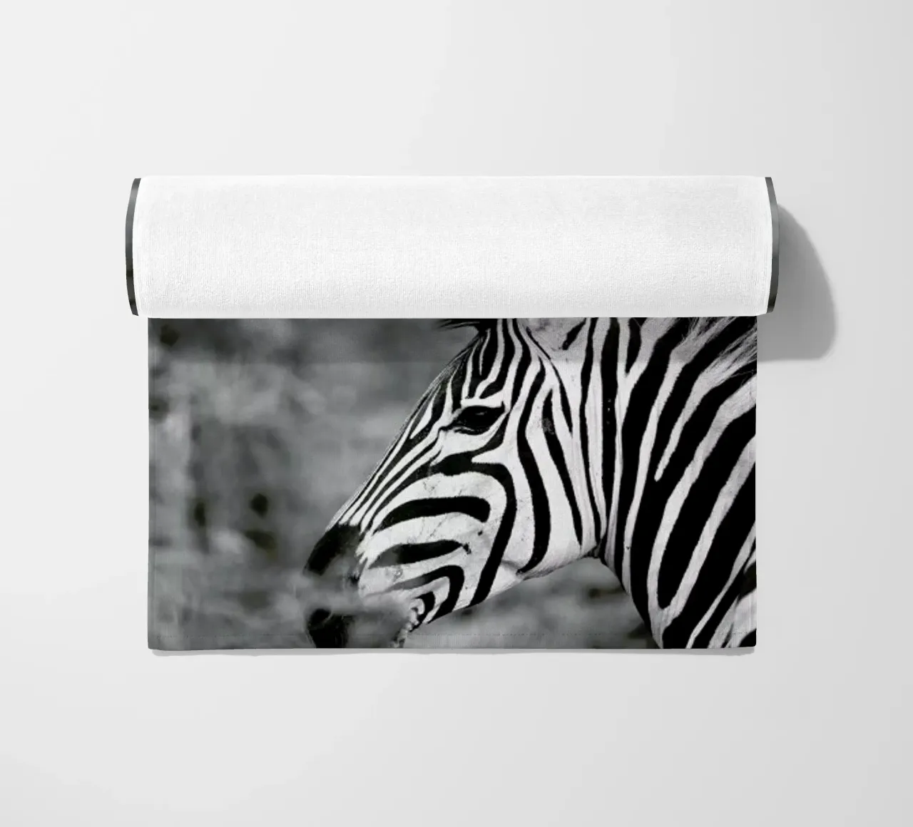 Zebra telo mare da Shot By Clint