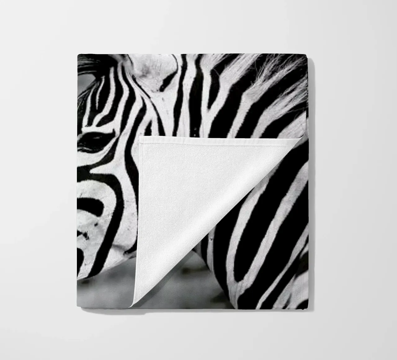 Zebra telo mare da Shot By Clint