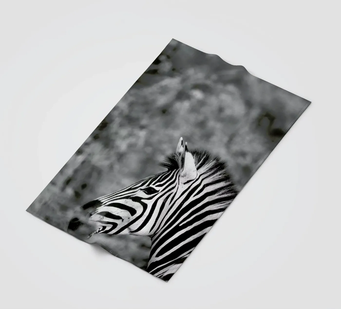 Zebra Fleecedecke von Shot By Clint